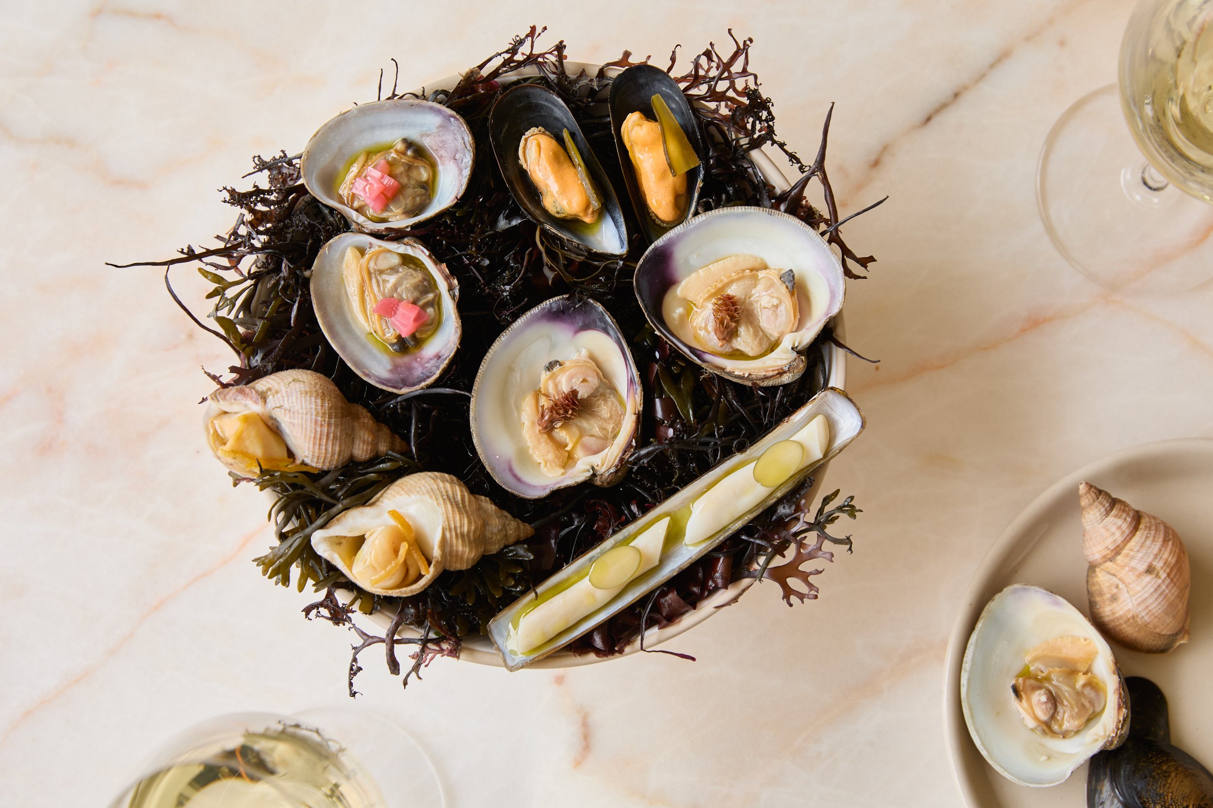 Shellfish and Preserves The Sea The Sea Helen Cathcart