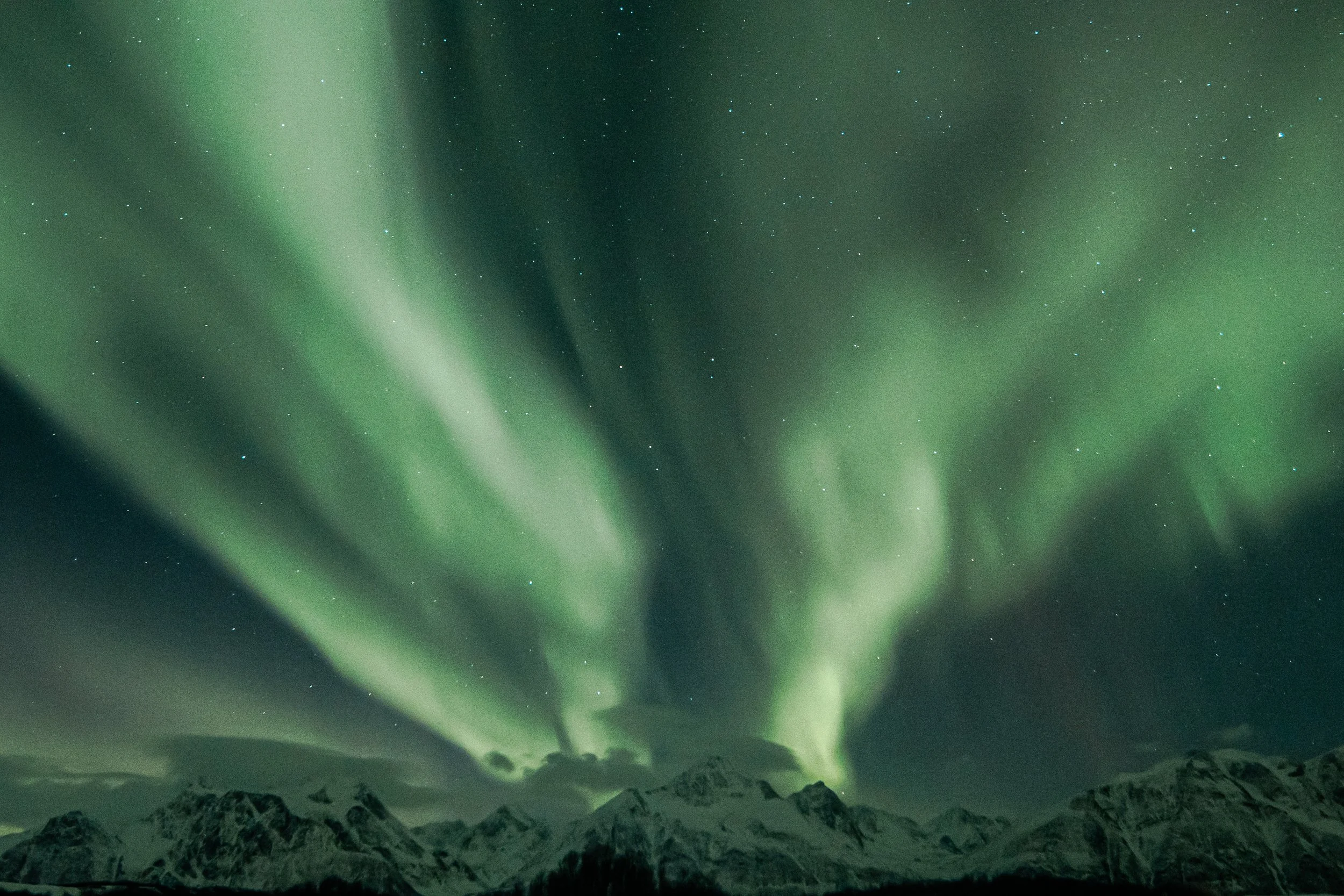 Sarah-Casewit-Tyson-Sadler-Norway-Northern-Lights