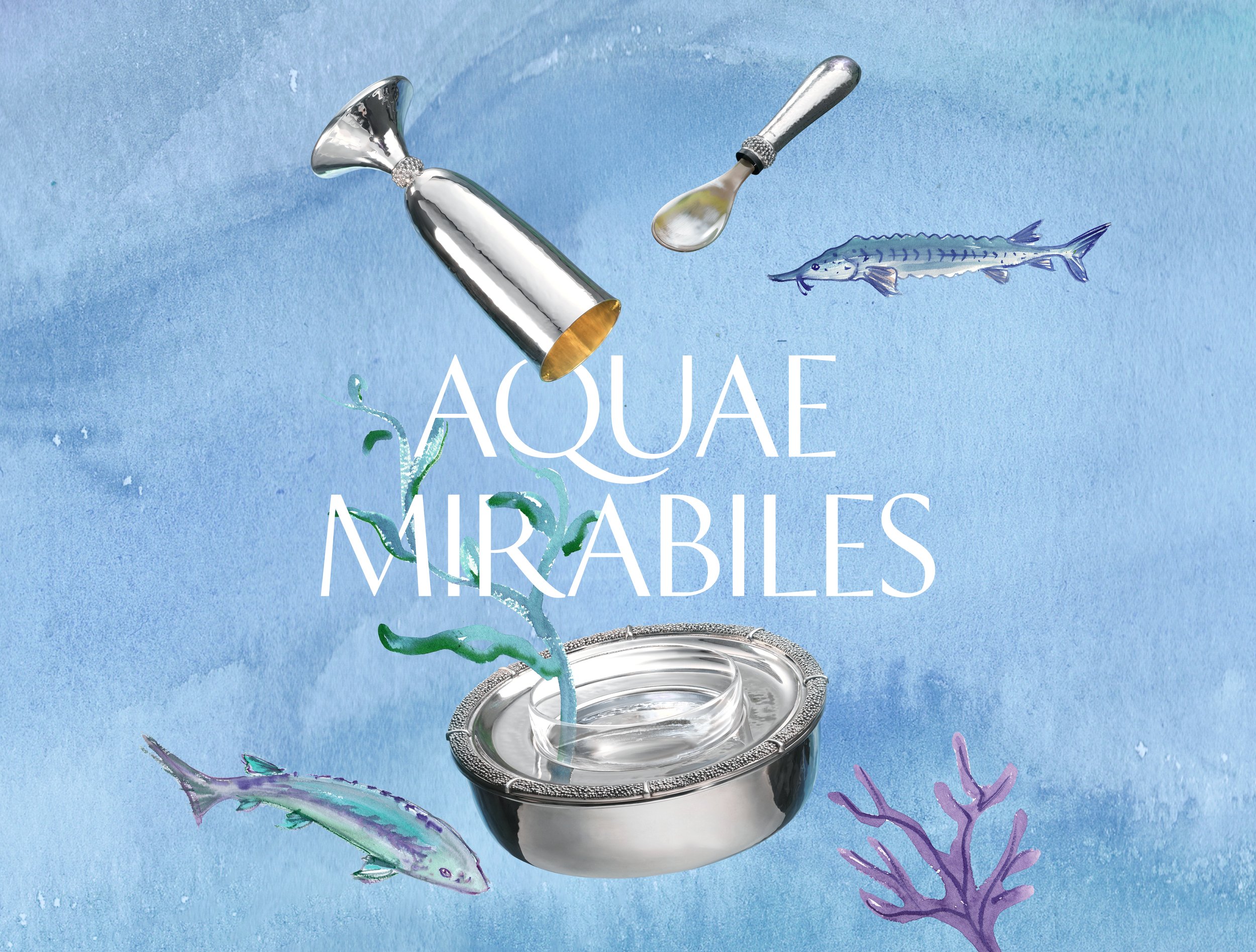 Buccellati_Aquae-Mirabiles-Manifesto