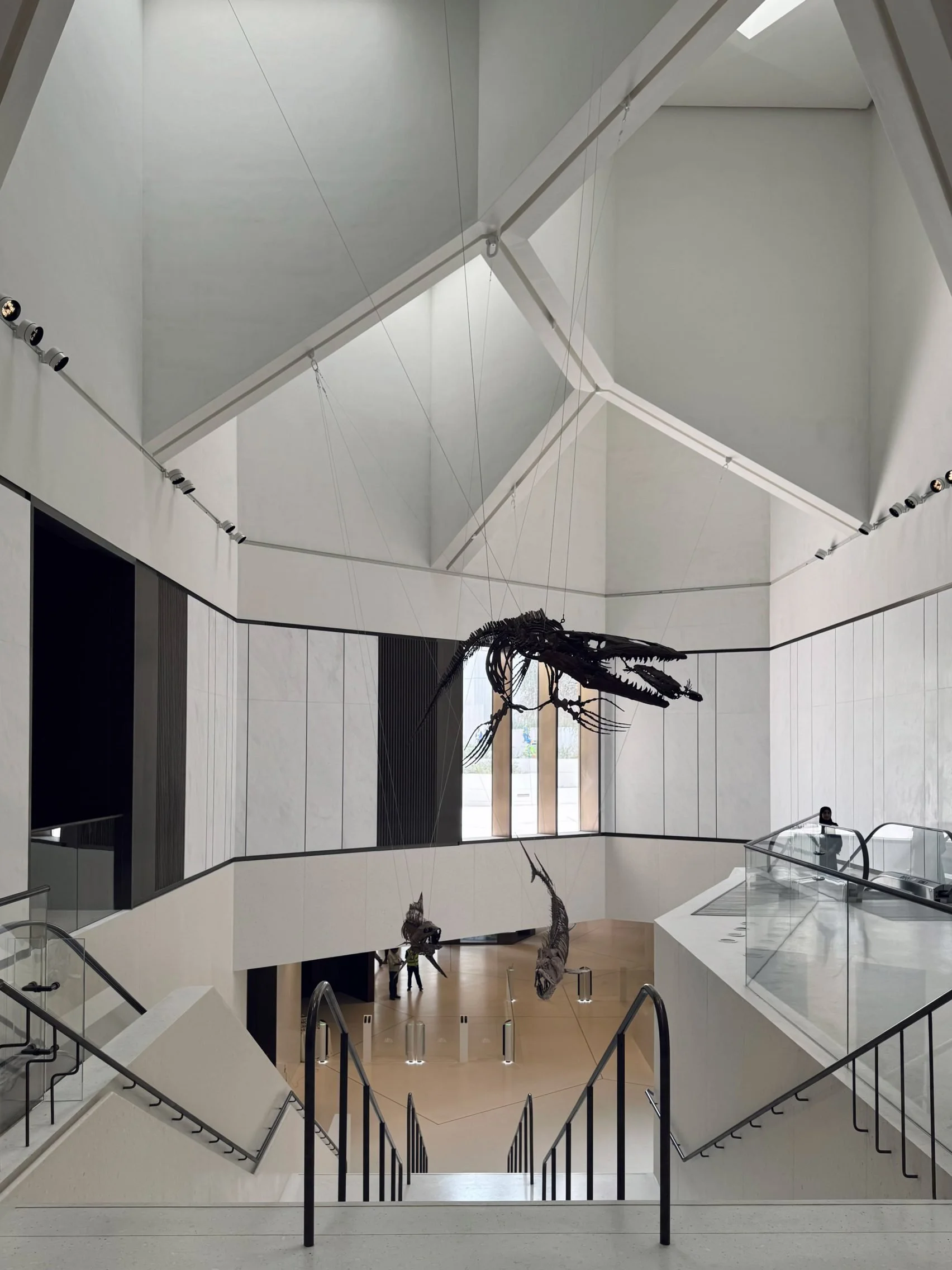 natural-history-museum-abu-dhabi-architecture-cultural-saadiyat-island-eliano-felicio