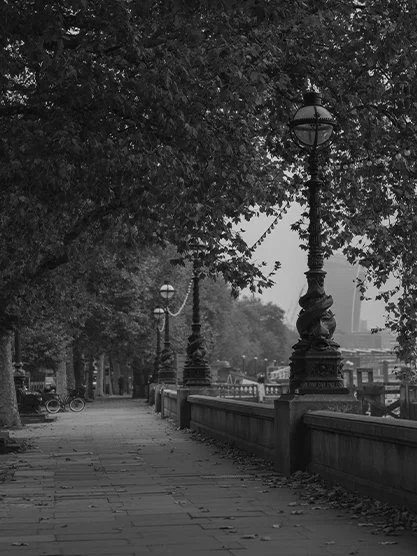 A cobblestone street lined with potted plants and residential buildings with white and brick facades, black wrought iron balconies, and street lamps, with greenery on the right side.