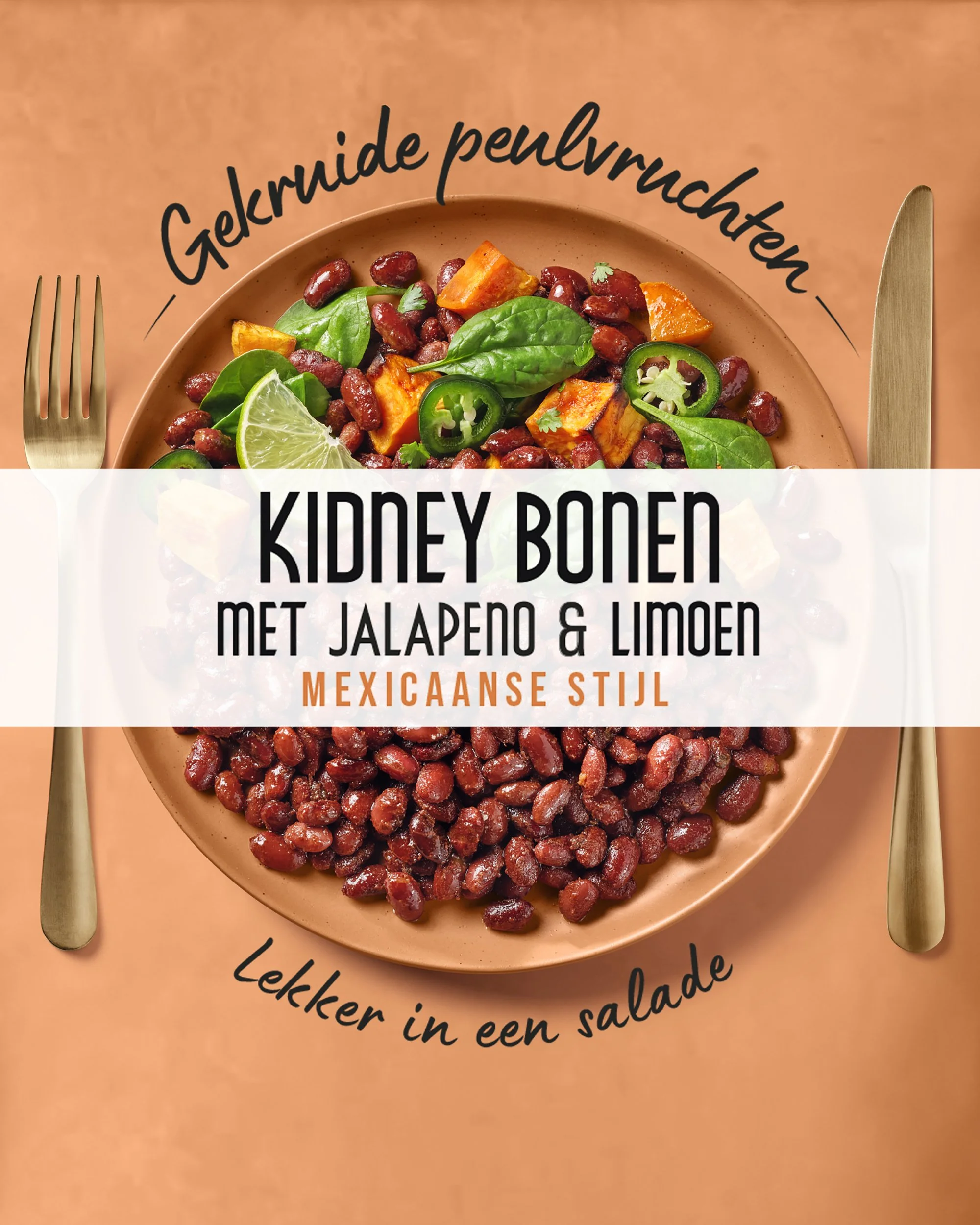 AH gekruide peulvruchten kidney .jpg