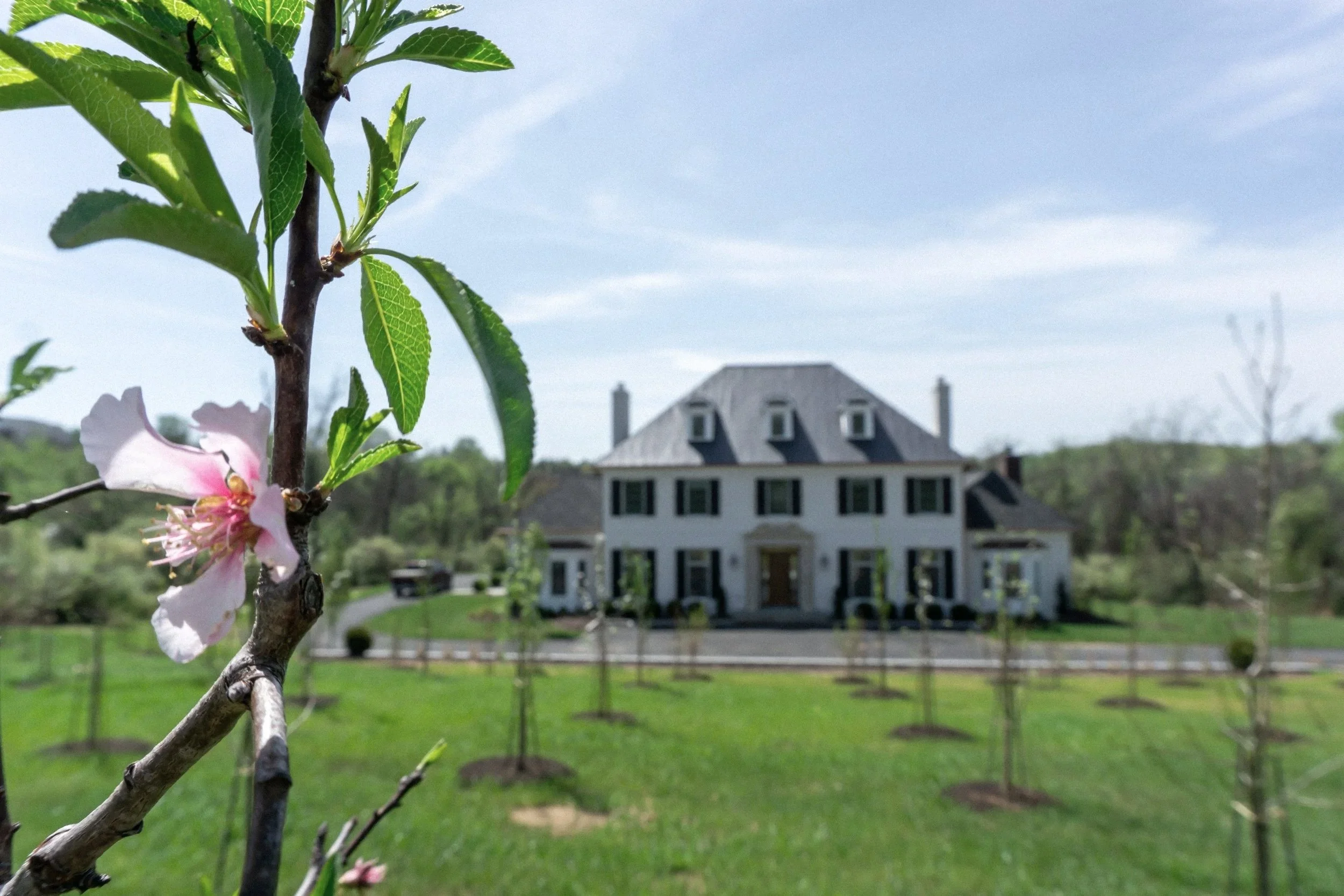 The Manor House