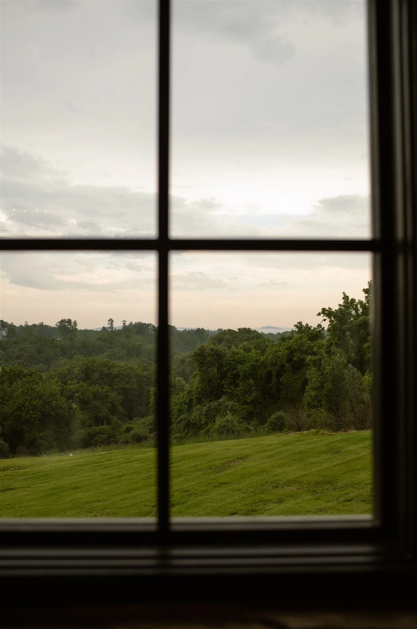 More Than a Venue: Bees, Honey, and 175 Fruit Trees at The Manor 1858