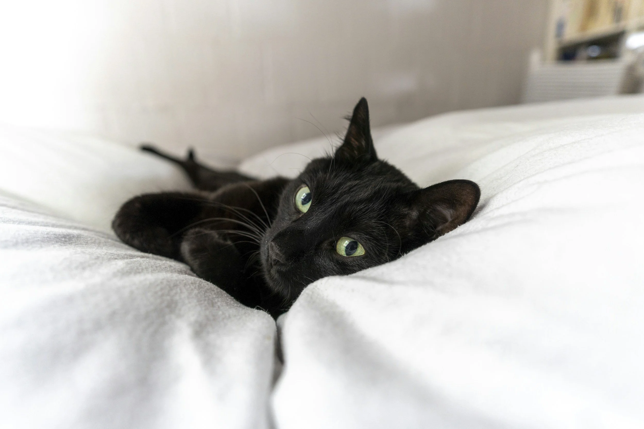 unsplash-image-NJ5cZE2I3mY.jpg