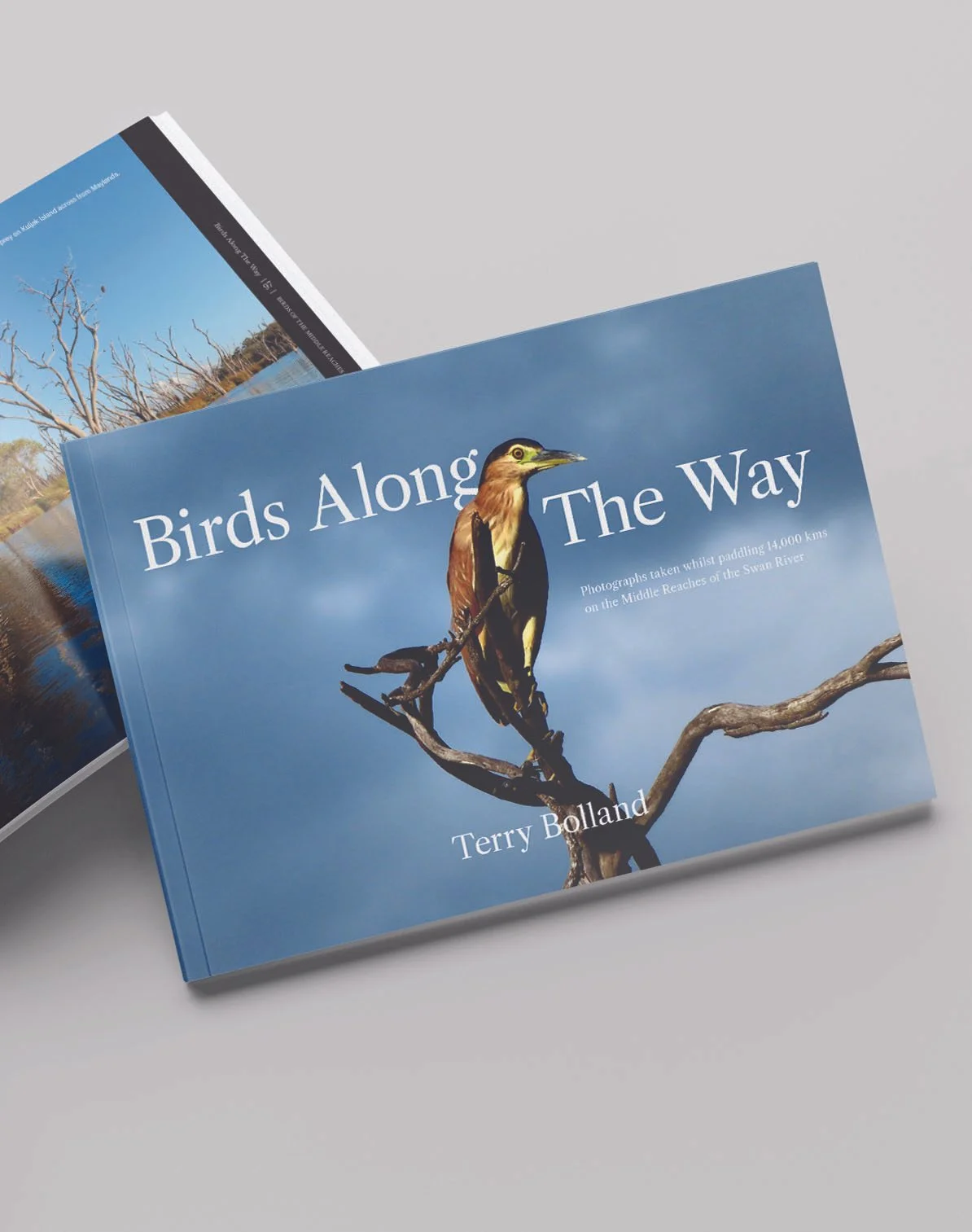 A hardcover book titled 'Birds Along The Way' by Terry Bolland features a bird perched on a bare tree branch against a blue sky.