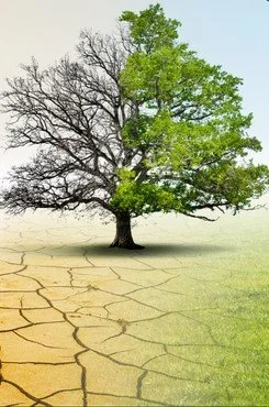 Physical Climate Risk Scenario Analysis for Holcim