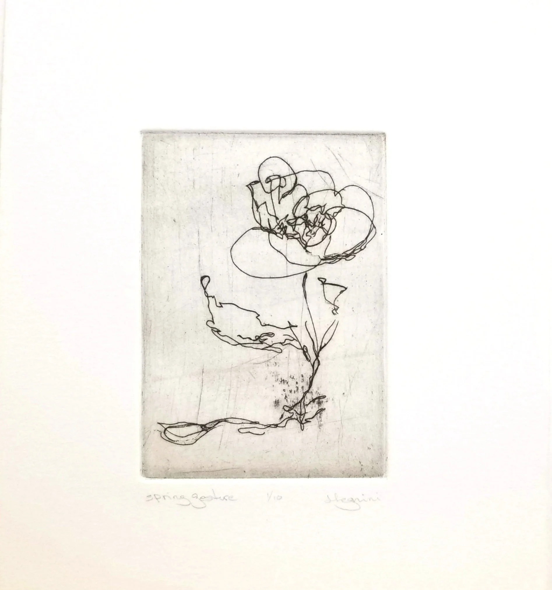 Spring Gesture etching 10 x 8 in.