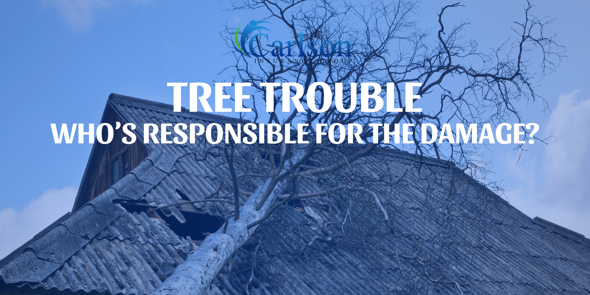 Who Pays When a Tree Falls