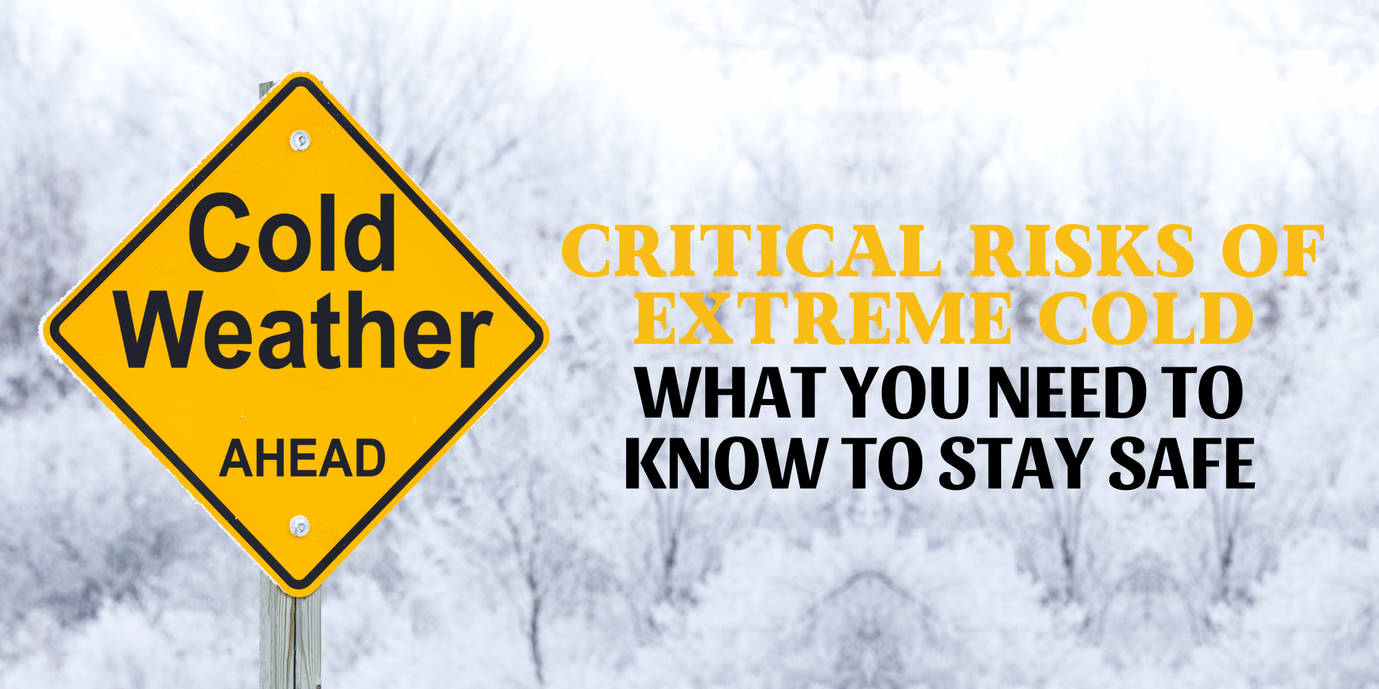 Critical Risks of Extreme Cold: What You Need to Know to Stay Safe