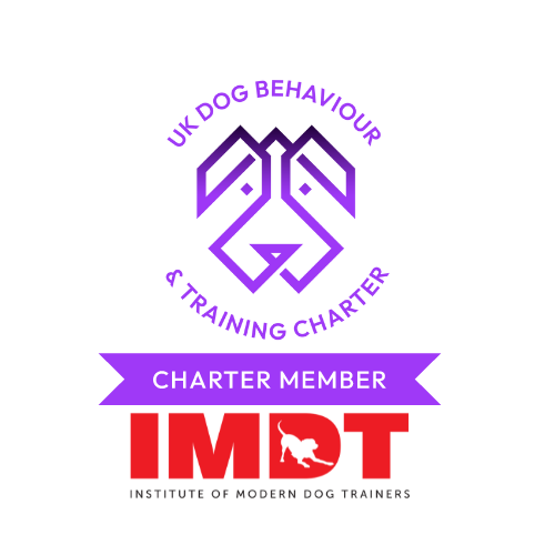 IMDT Charter Member Logo