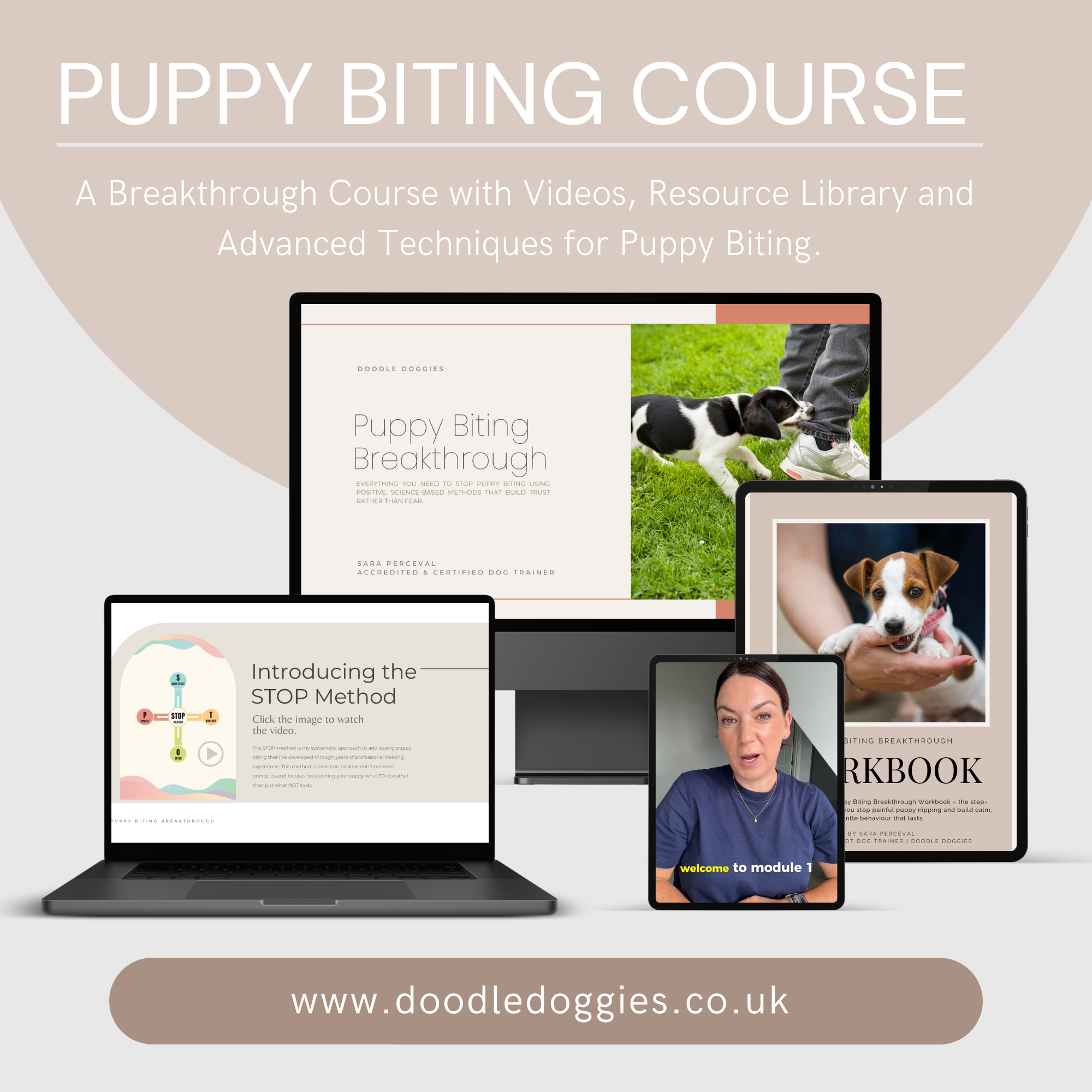 Puppy Biting Course