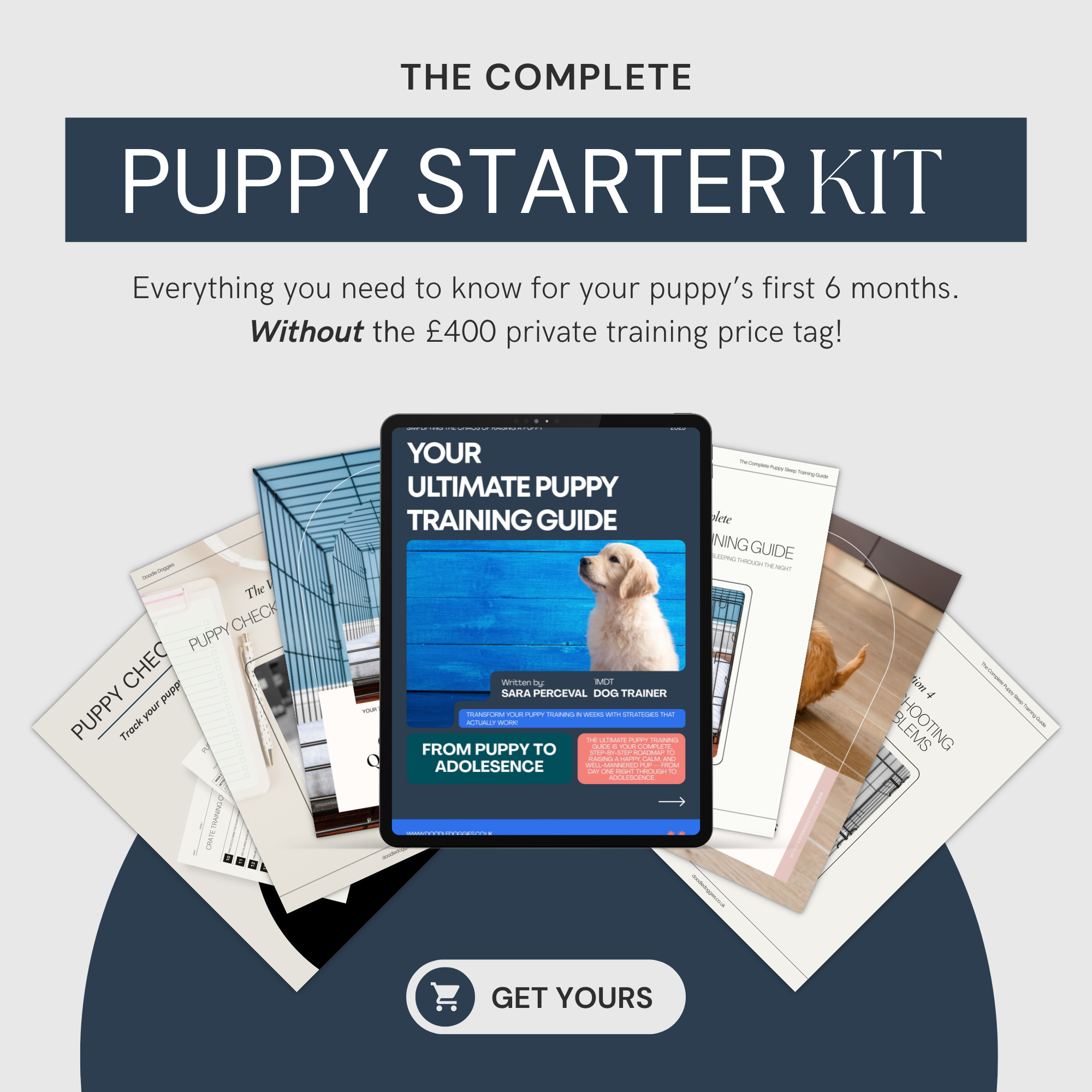 Puppy Training Starter Kit