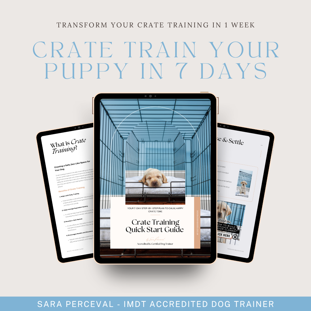 Digital guide for crate training puppies, featuring a puppy in a crate on the cover, with two tablets displaying related information behind it.