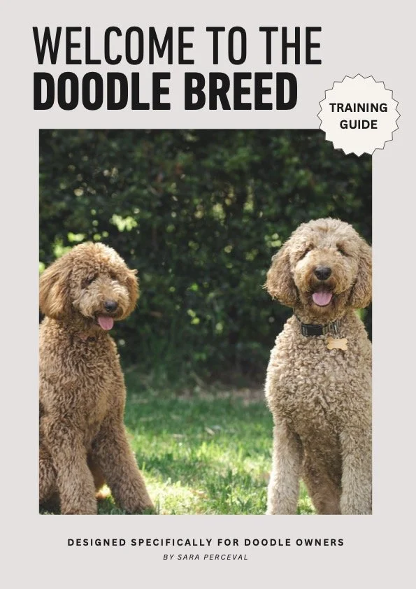 Cover of a training guide titled 'Welcome to the Doodle Breed' featuring two goldendoodle dogs sitting on grass outdoors, smiling, with a background of trees.
