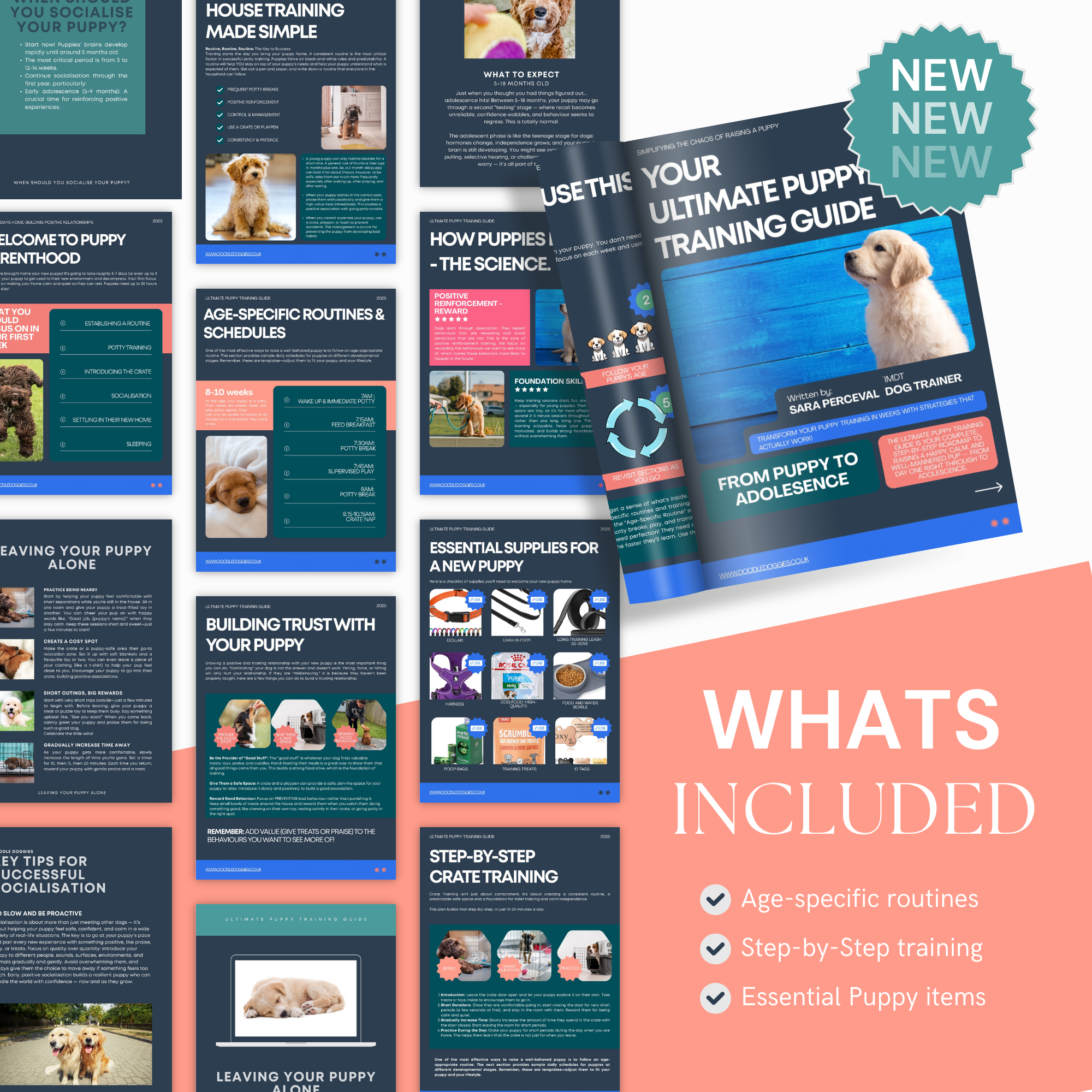 A4 Paper Mockup (11).png