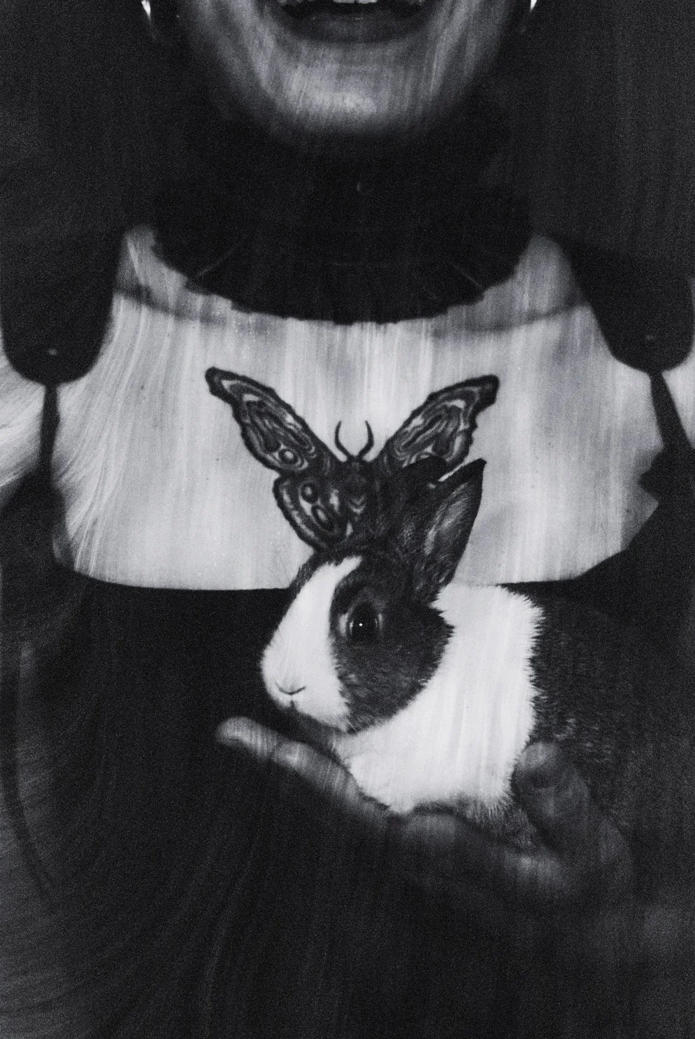 AfterlightImage 3.jpg