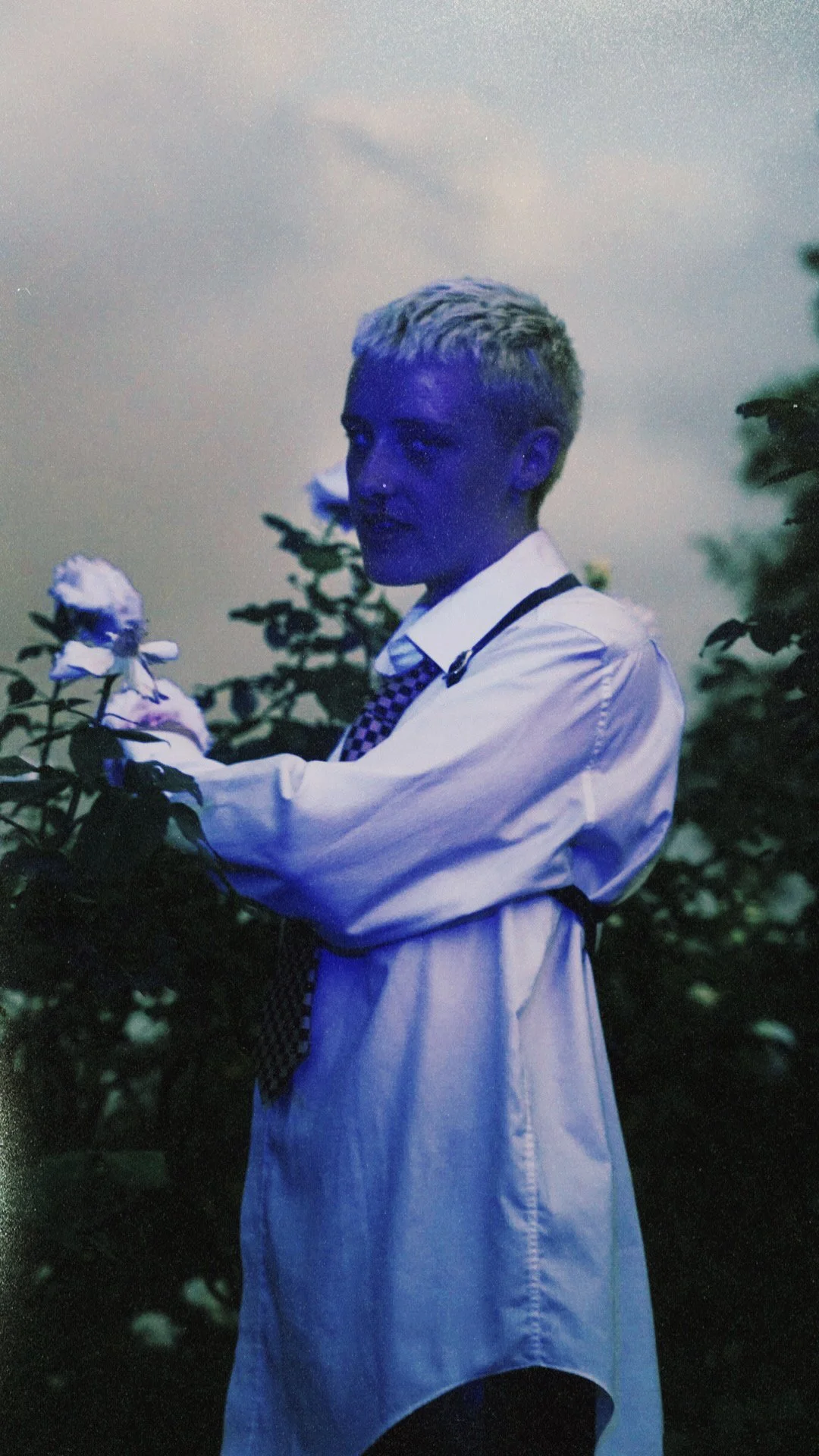 AfterlightImage 9.jpg