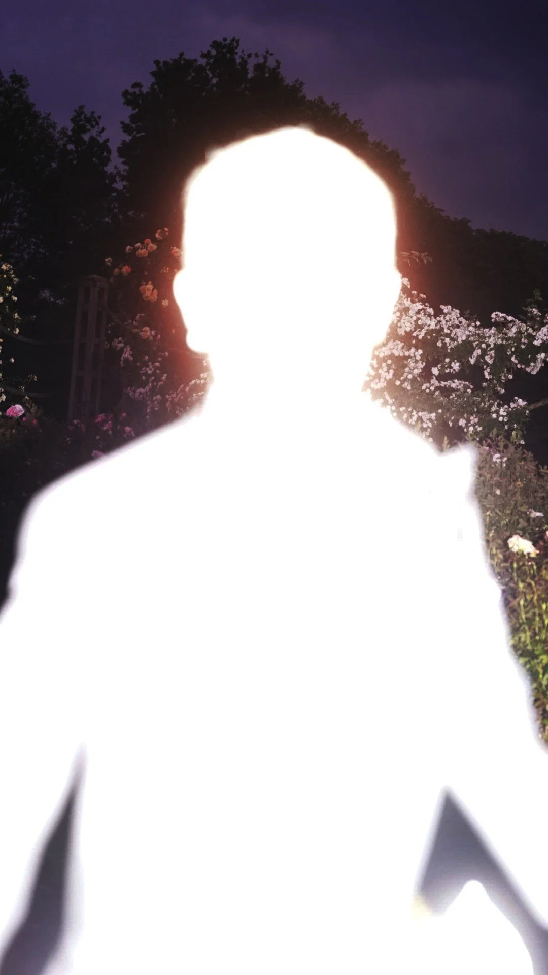 AfterlightImage 2.jpg