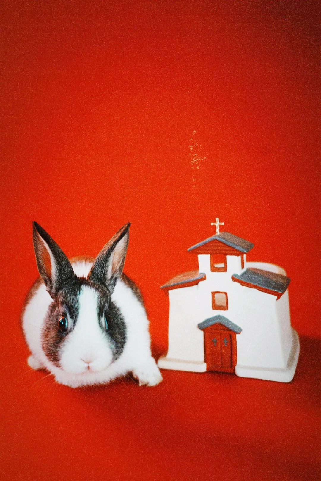 AfterlightImage 2.jpg