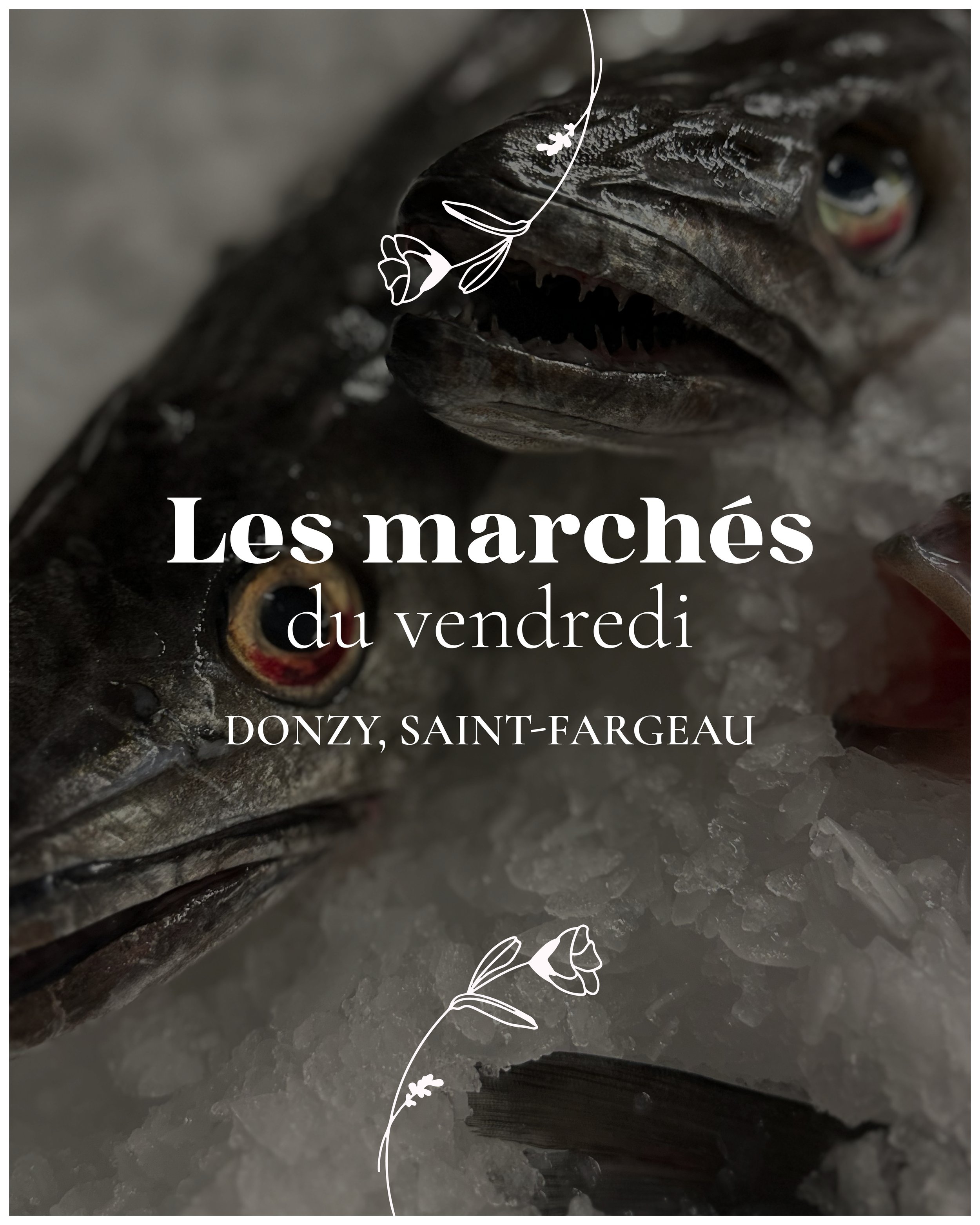 Chez Vava INSTA - Vendredis.jpg