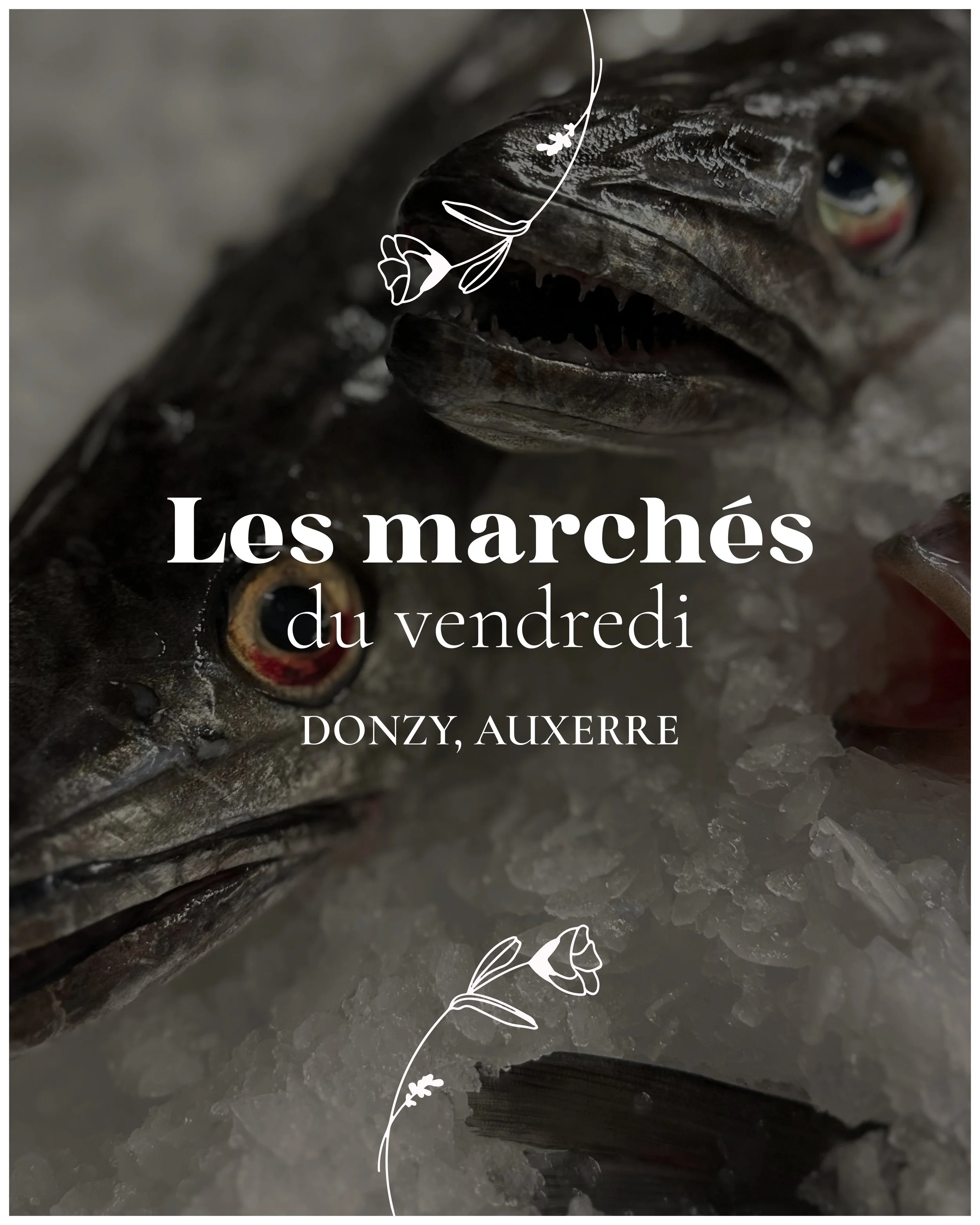 Chez Vava Vendredi.jpg