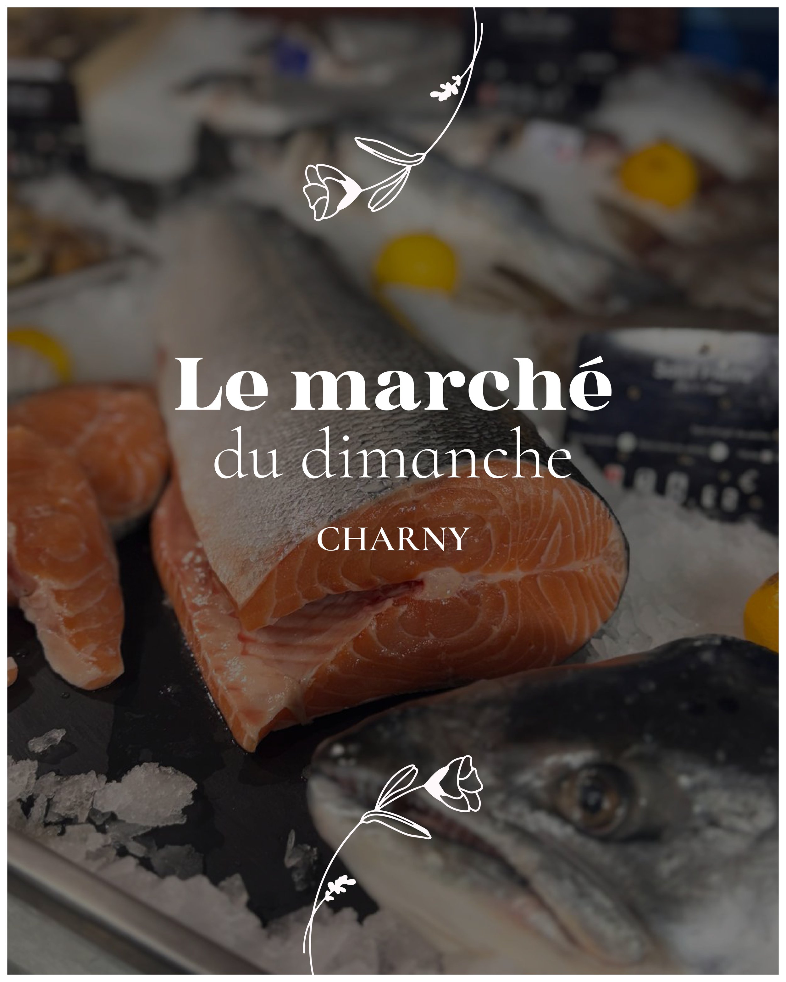 Chez Vava INSTA - DIM.jpg