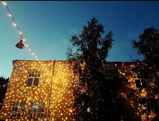 Workshops and events to have a little magic in our lives