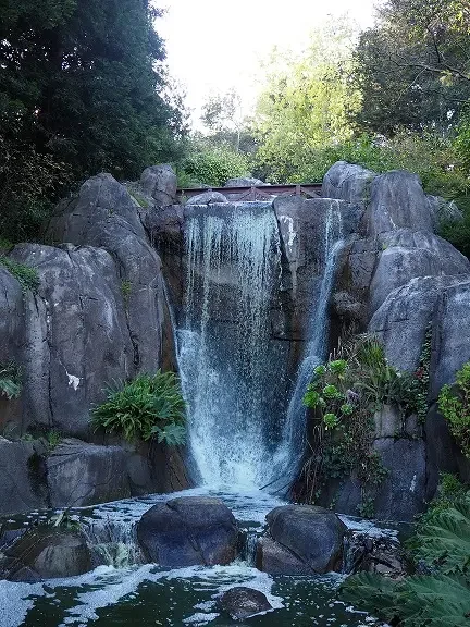 Mentoring can open you up so much that in the end you flood ideas and inspiration and life like a waterfall