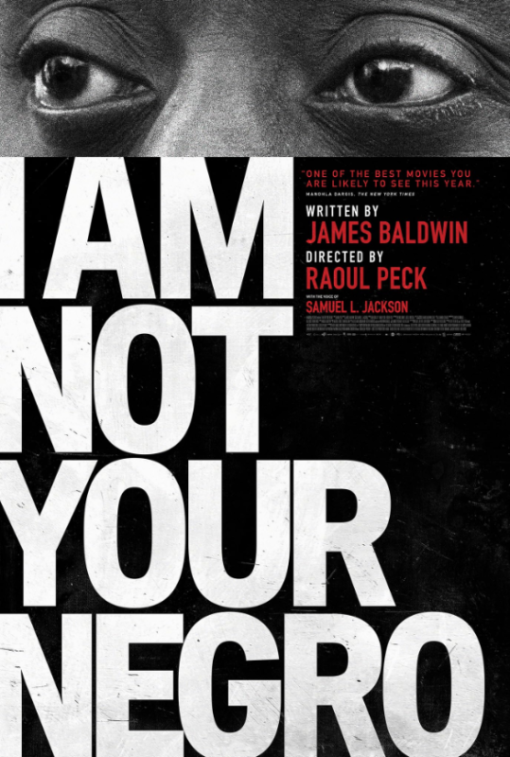 I AM NOT YOUR NEGRO