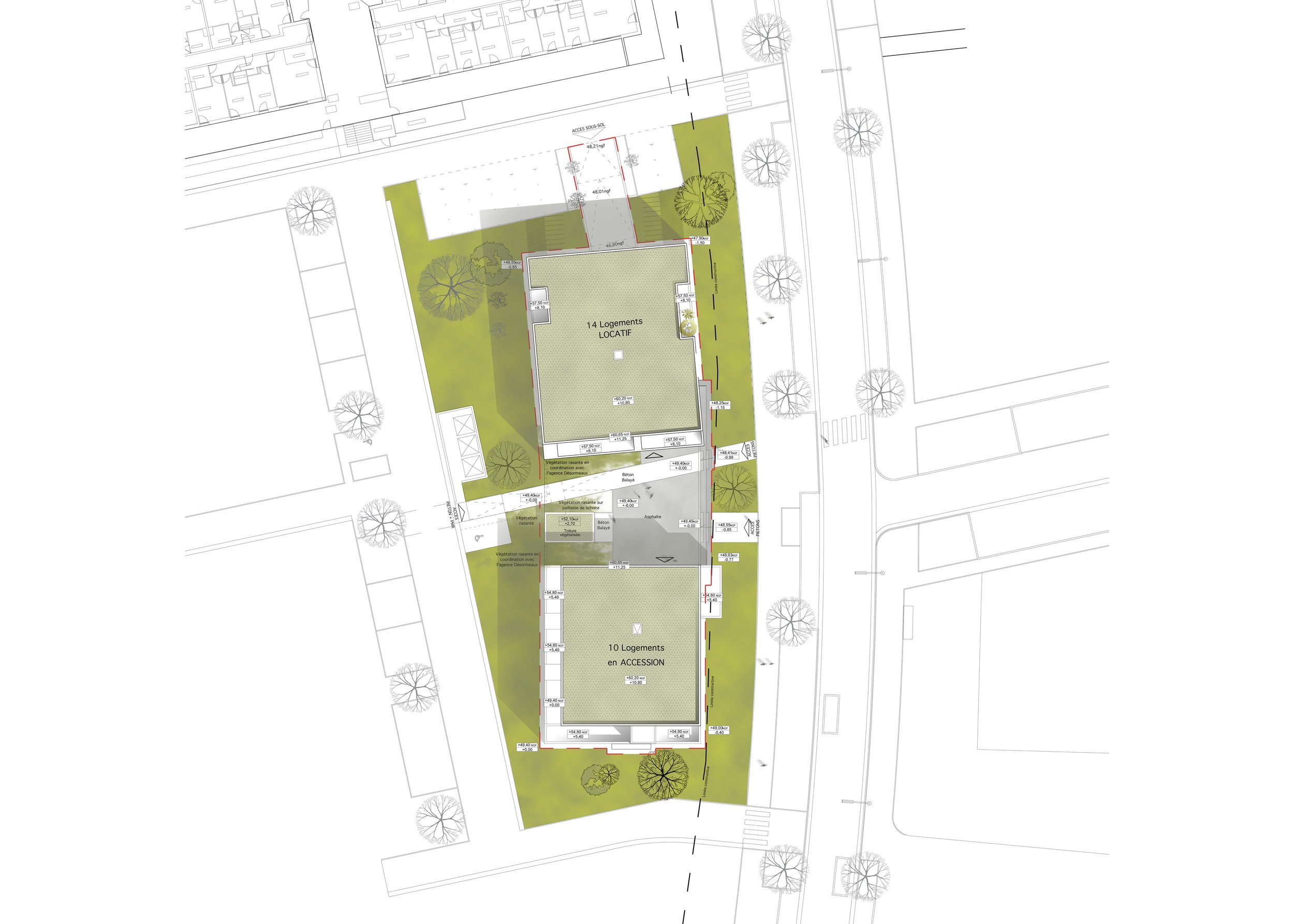 PLAN MASSE - copie.jpg