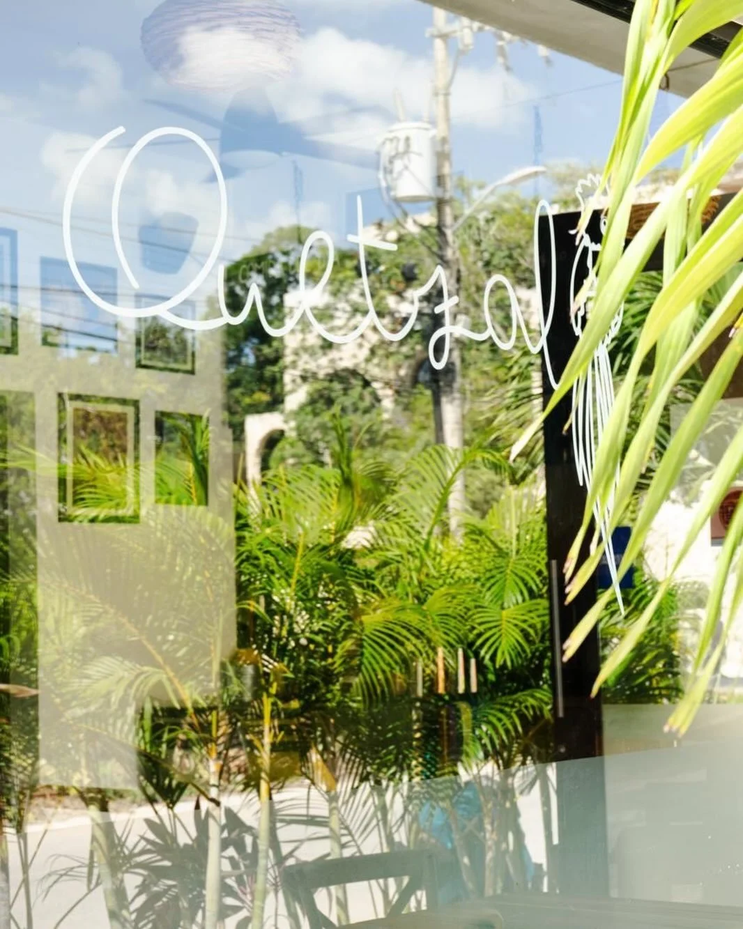 Horarios de Navidad y A&ntilde;o nuevo:

- Mi&eacute;rcoles 24 - cerrado
- ⁠Jueves 25 - cerrado
- ⁠Mi&eacute;rcoles 31- cerrado
- ⁠Jueves 1ero - abrimos 1pm con pozole para la cruda 💚❤️