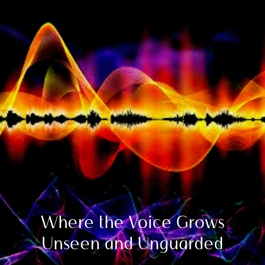 Not to Arrive, But to Reach: The journey of voice, vulnerability, and connection