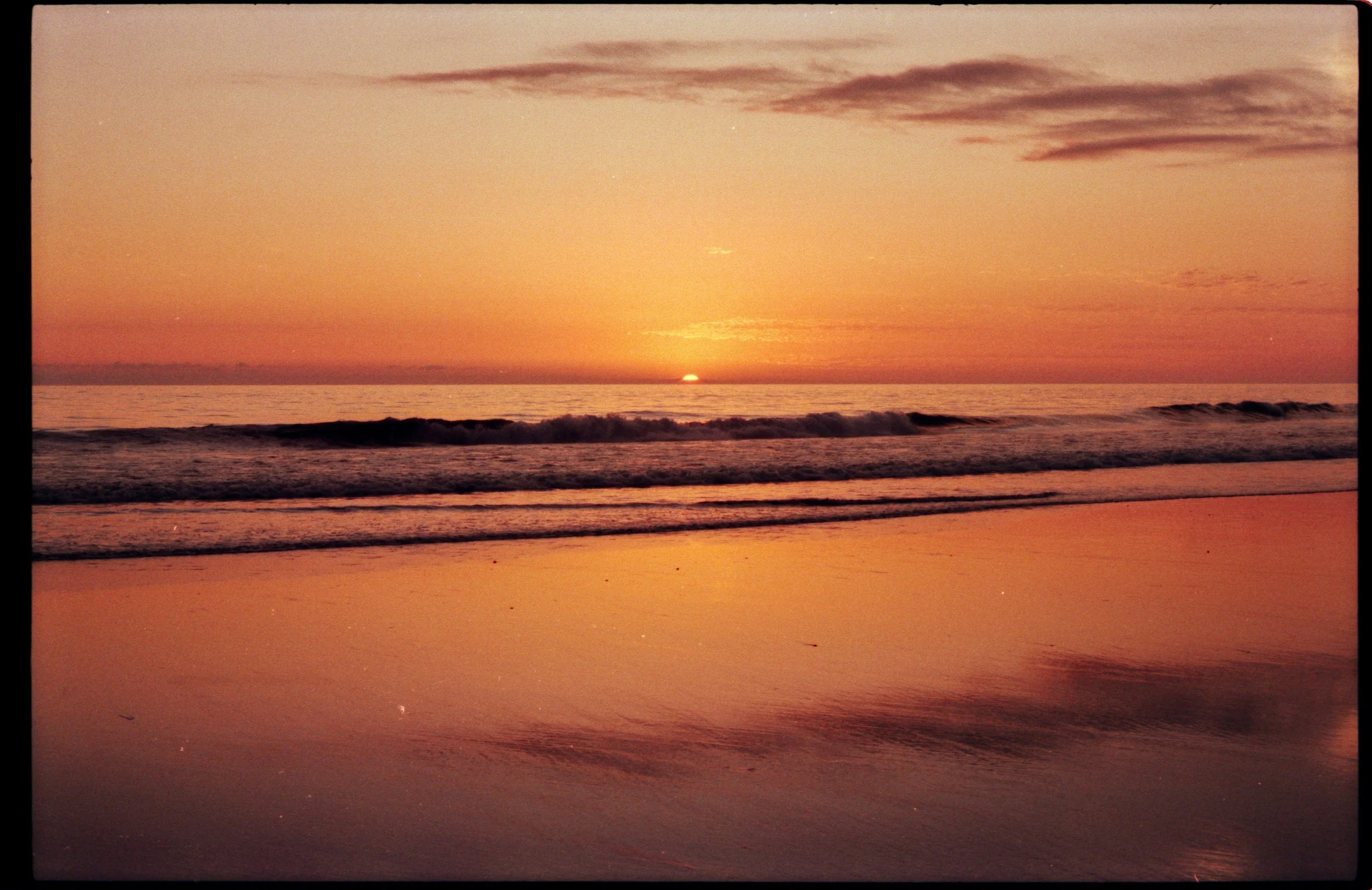 Image 4_56.jpg