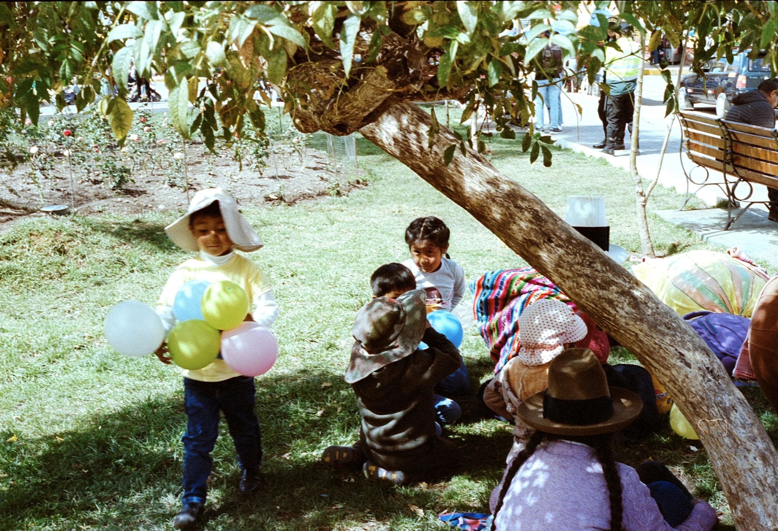 Image 15_173.jpg