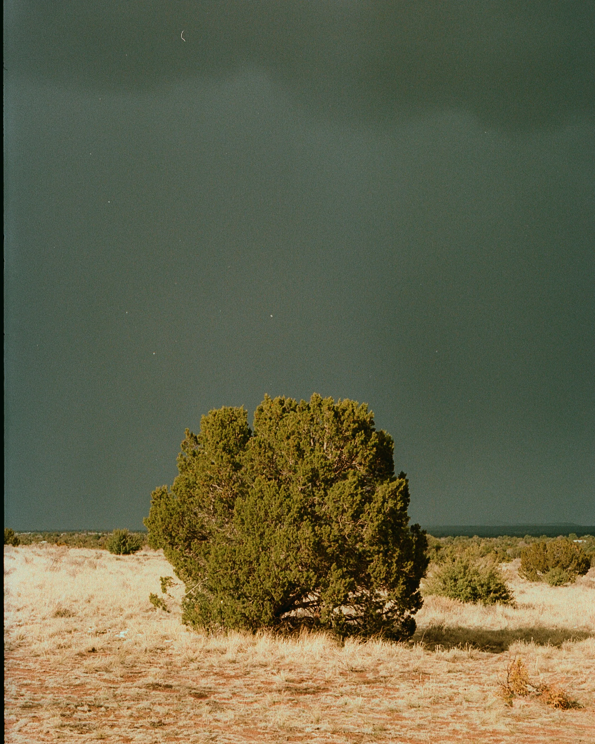 Image 21_268.JPG