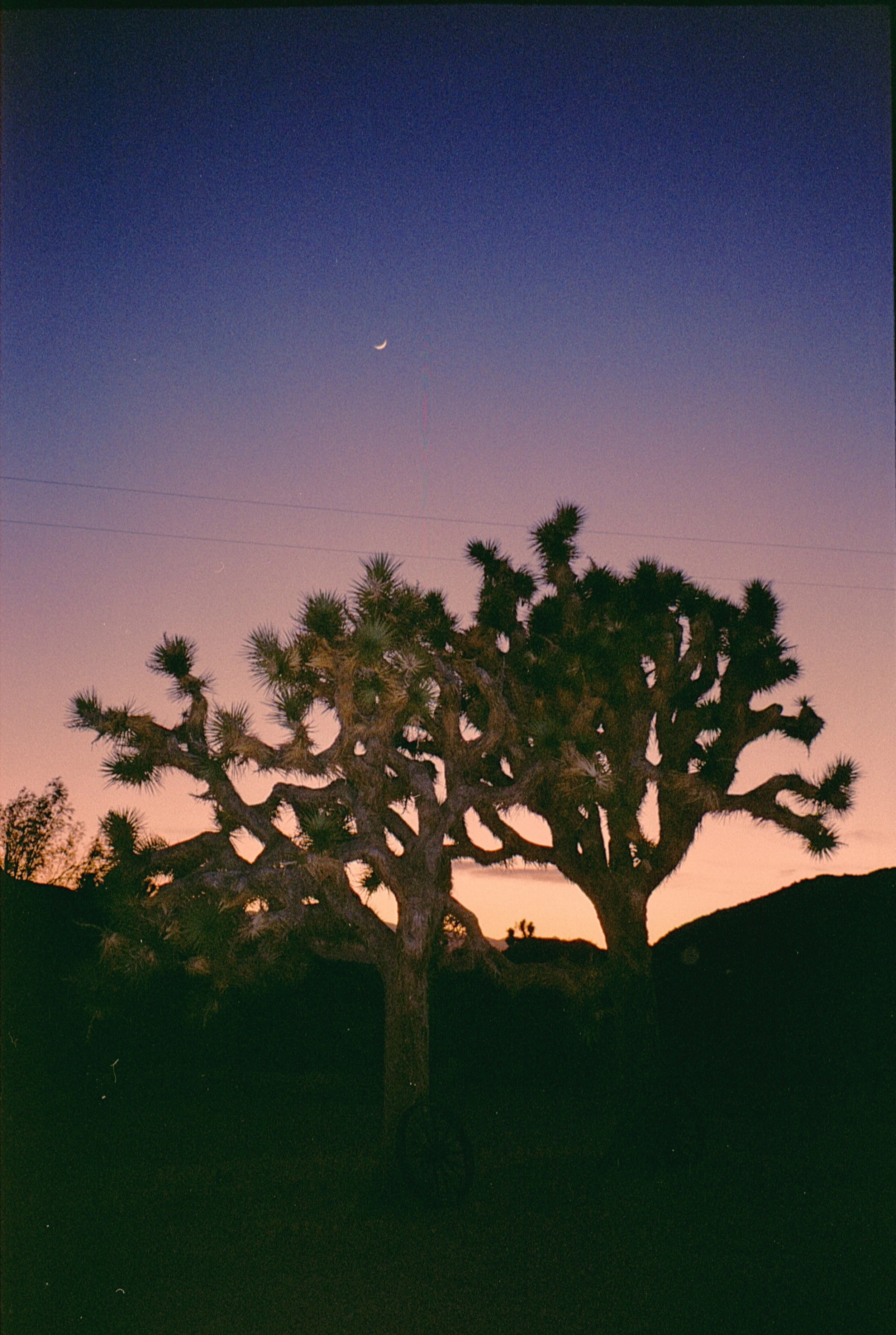 Image 3_28.jpg