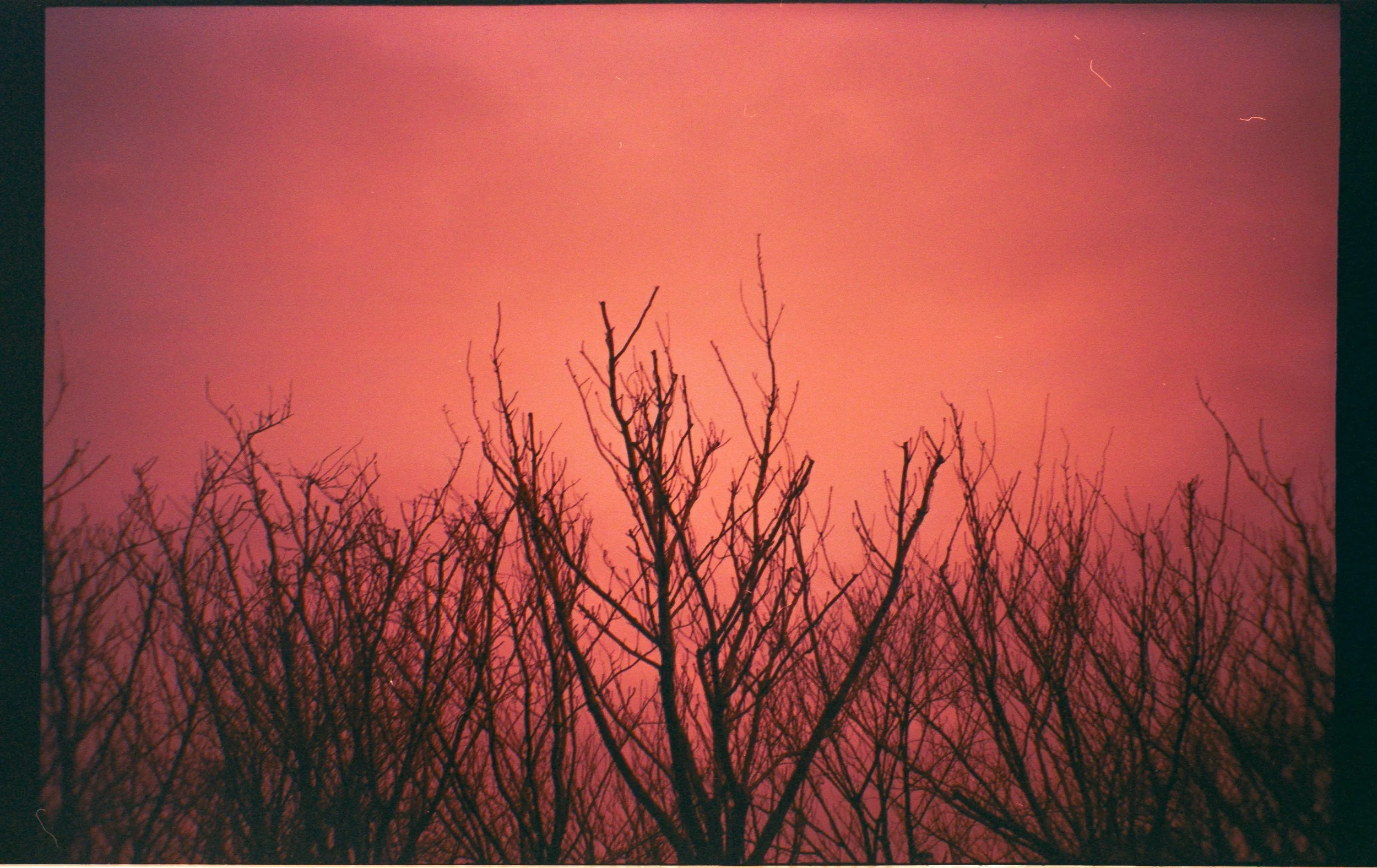 11_124.jpg