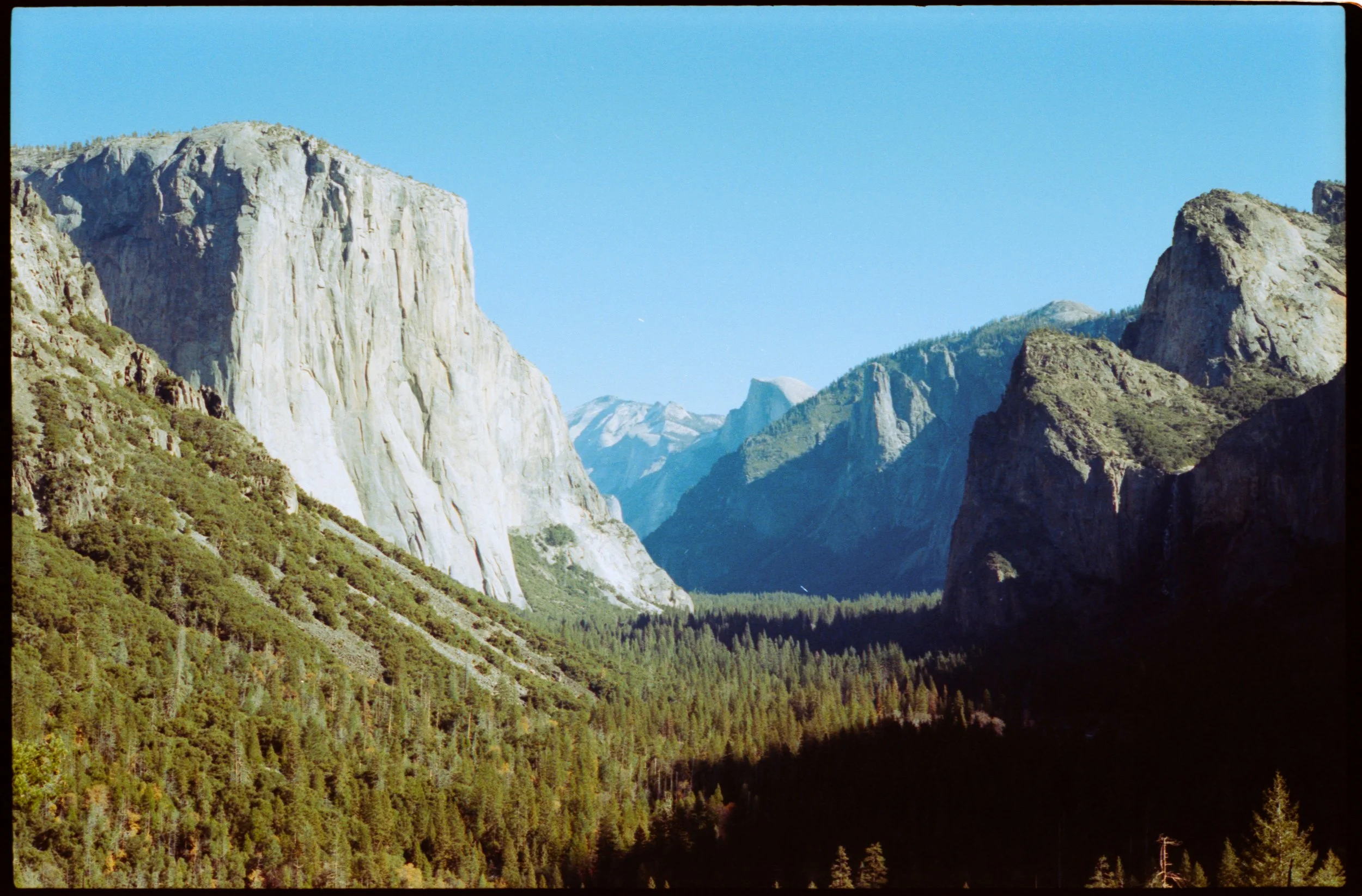 Image 51_556.JPG
