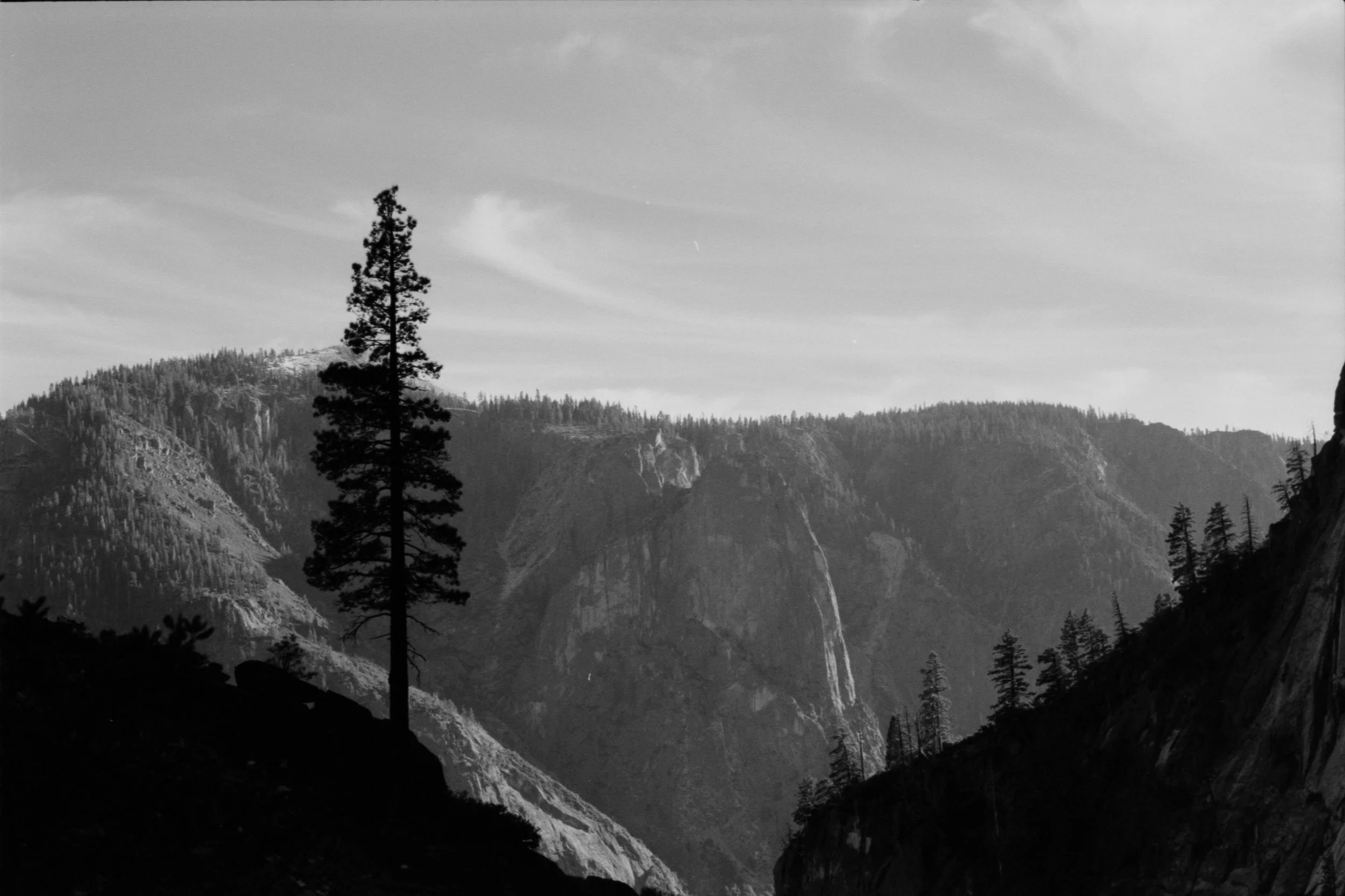 Image 54_597.JPG