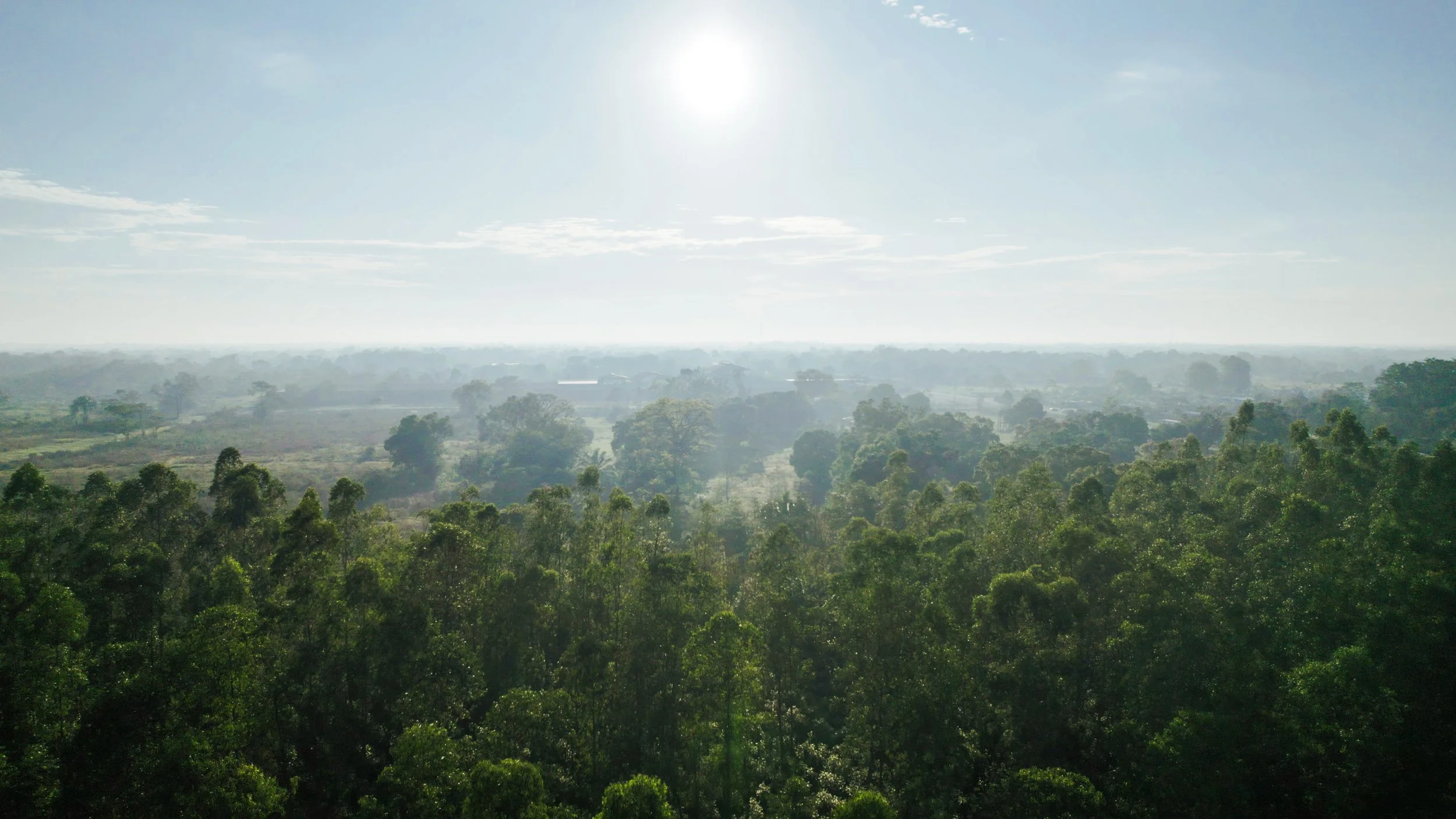 DJI_0024-1.jpg