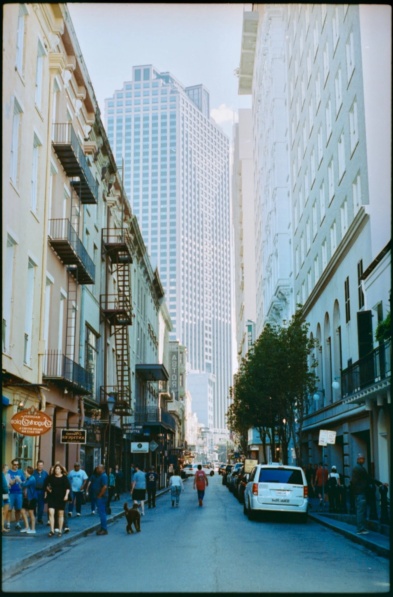 IMG_1863.jpg