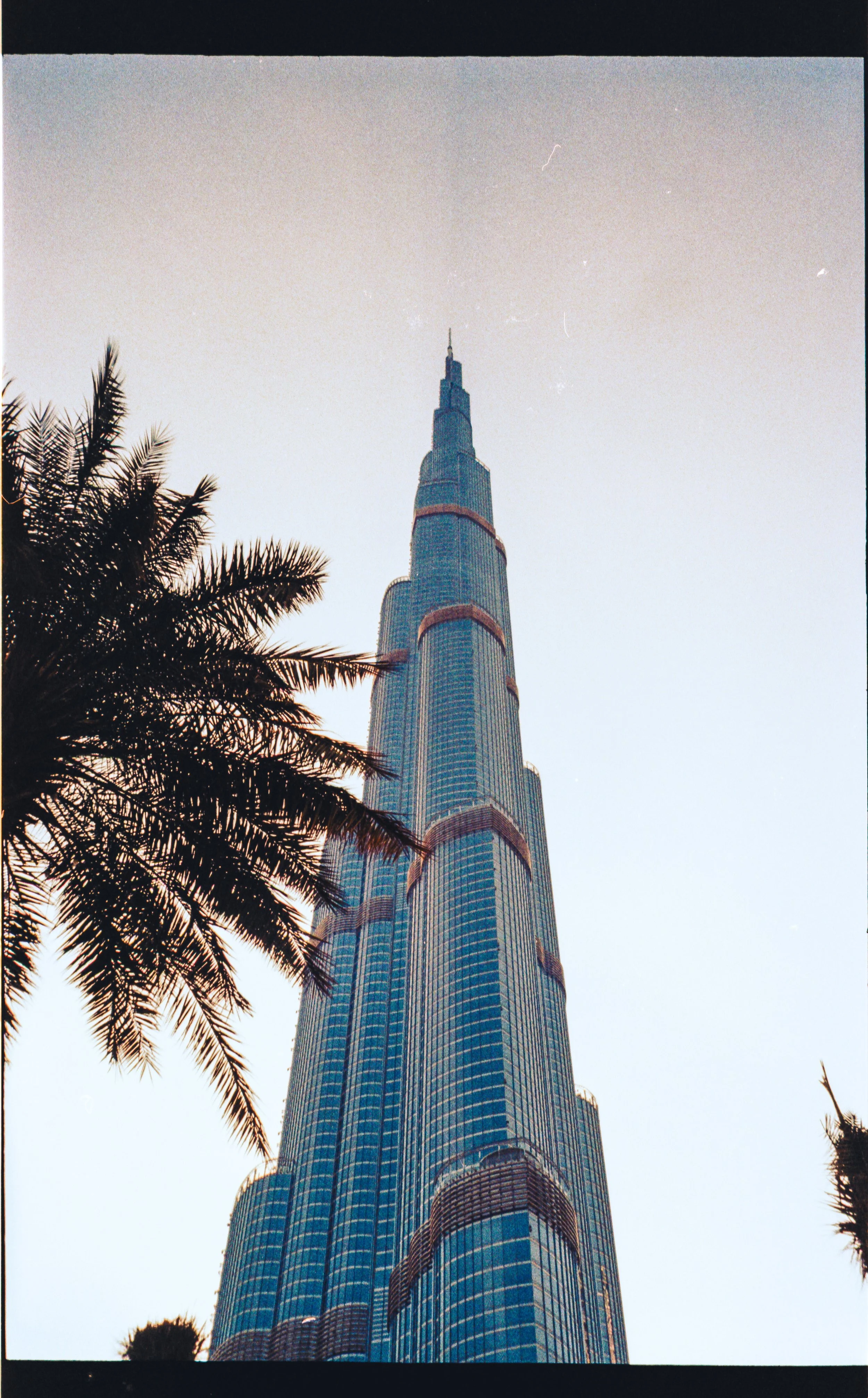 22_244.jpg