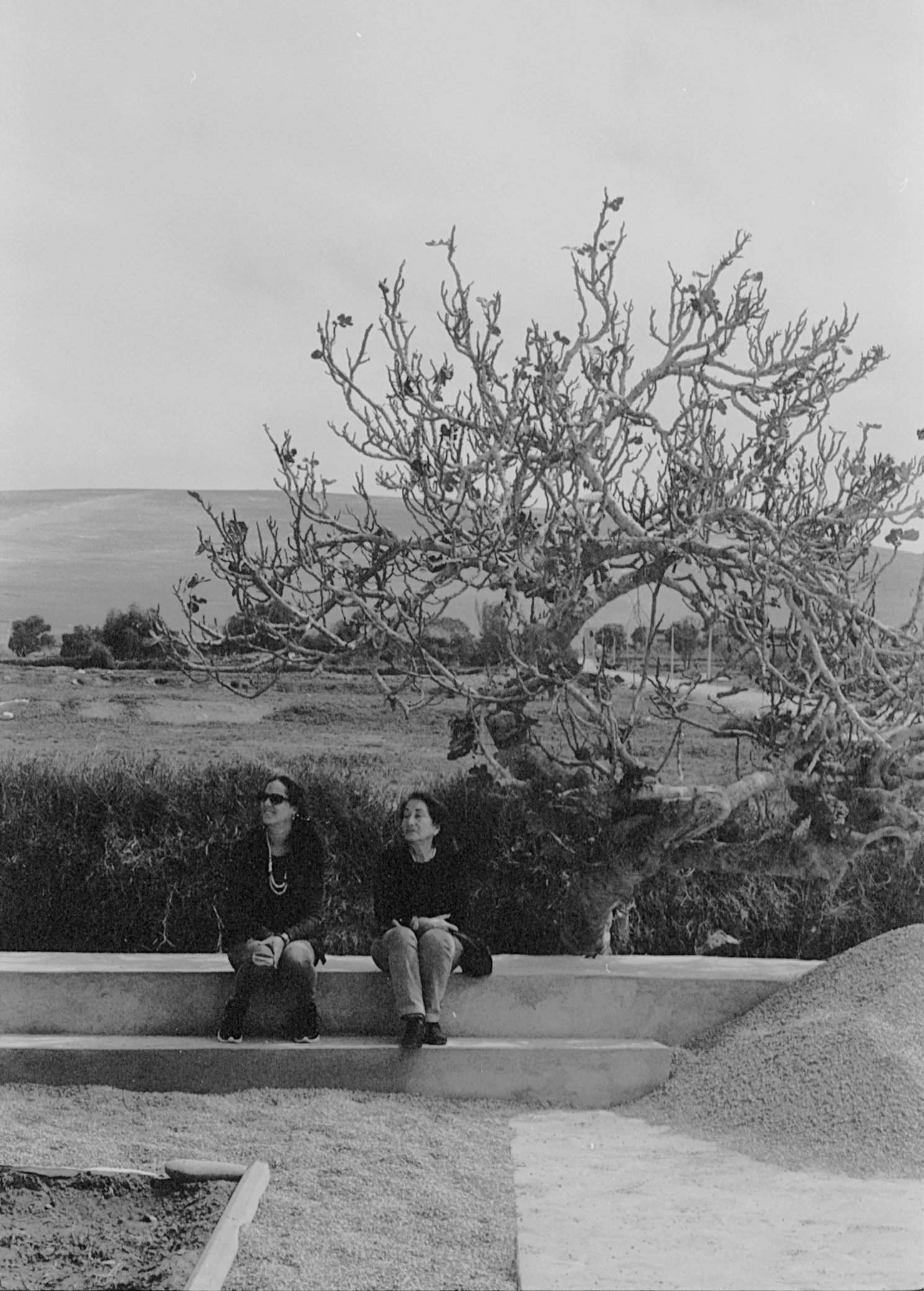 Image 3 25.jpg