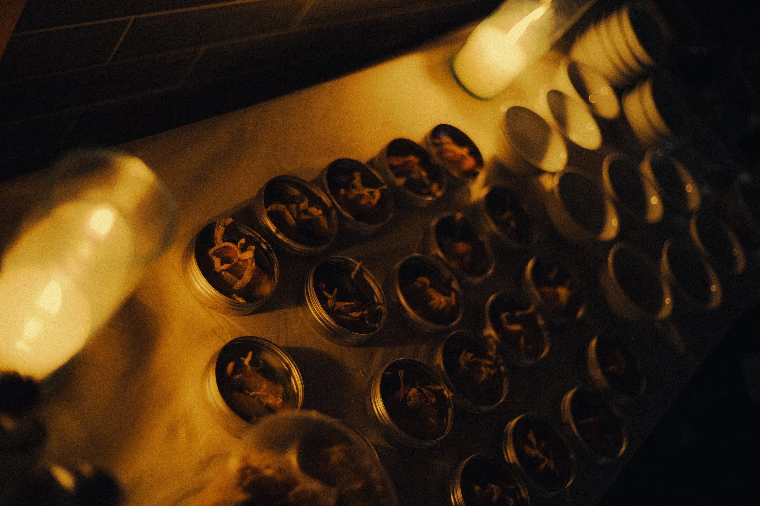 DSC04643.jpeg