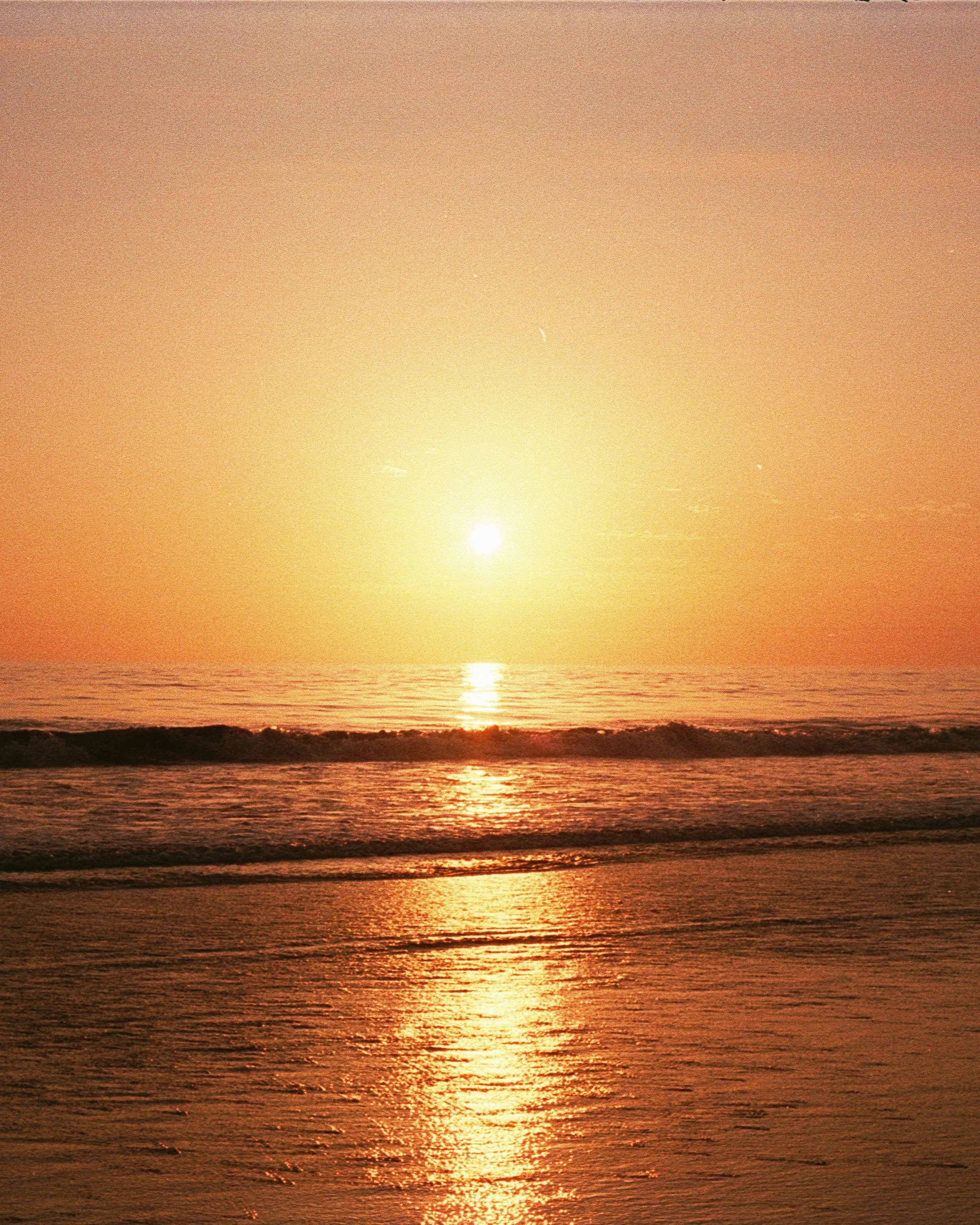 Image 4_60.jpg