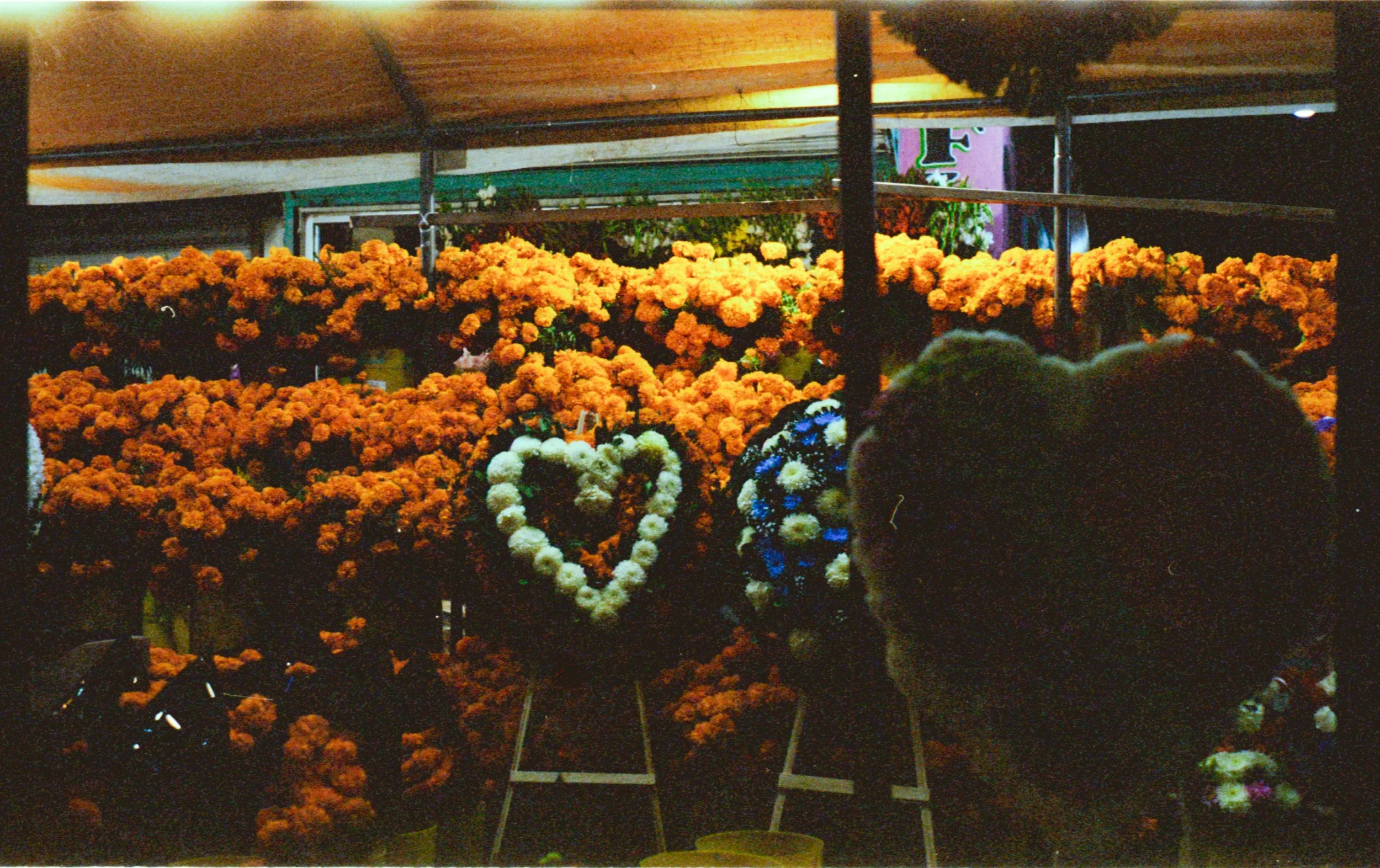Image 28_302.JPG