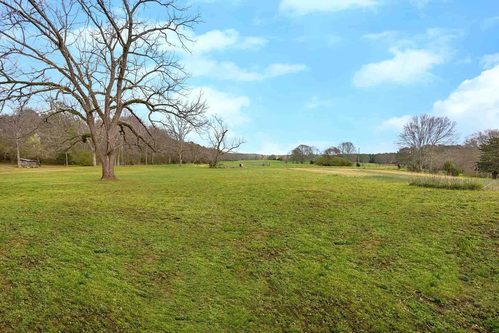 Birmingham real estate photos