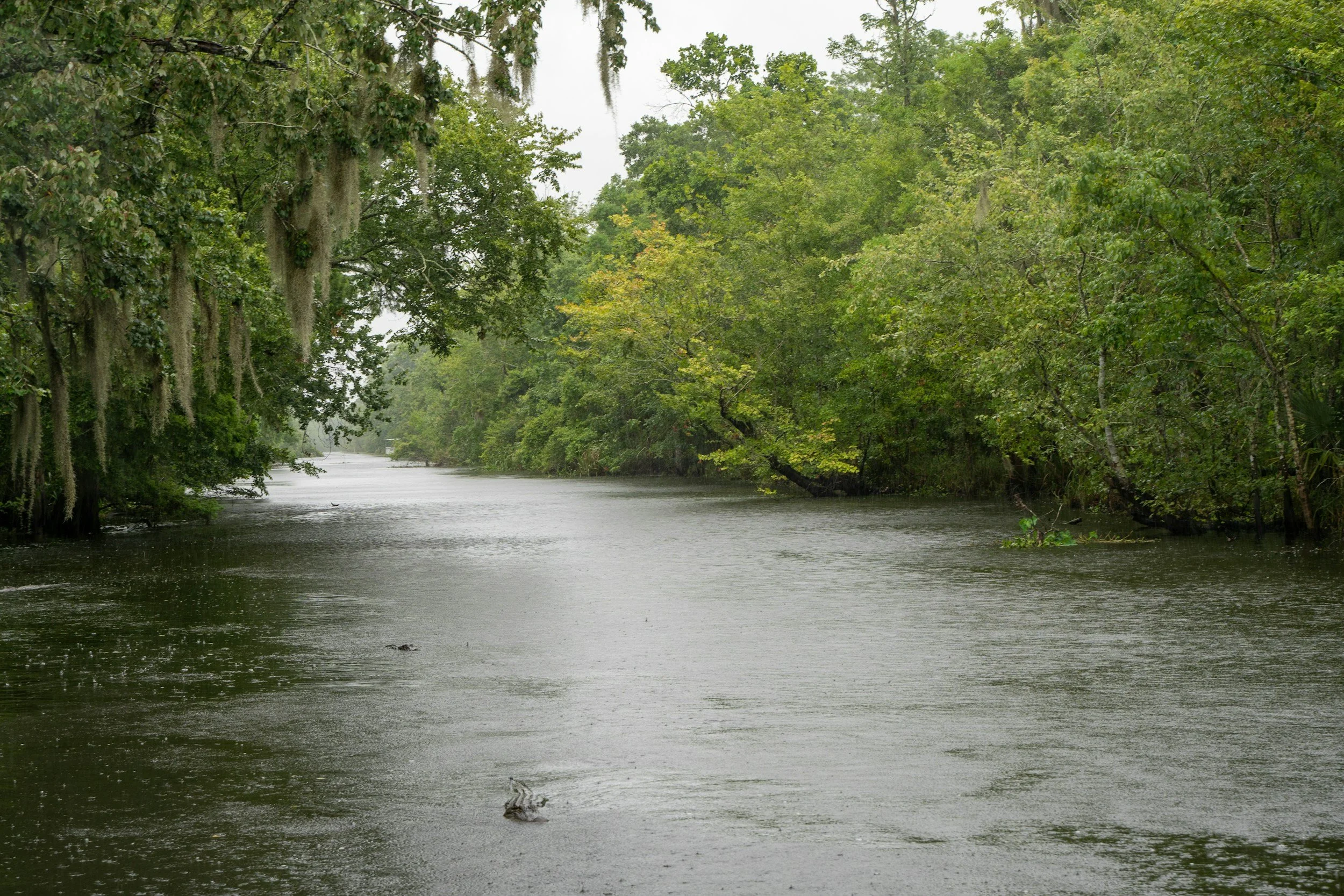 Retreat and Resilience: Linking Louisiana’s climate risk to Great Lakes Opportunities