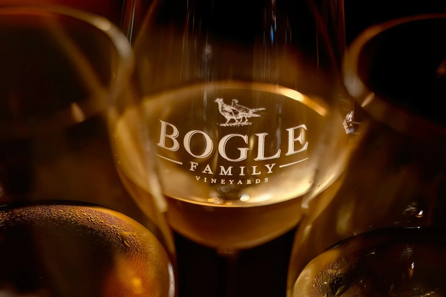 Sharing some photos from the first installment of  the #CLARKSBURGCONNECTION , a fun wine dinner we hosted last week in collaboration with our friends from @boglevineyards 🍇

The event was a blast! We had a chance to cook up some tasty dishes to pai